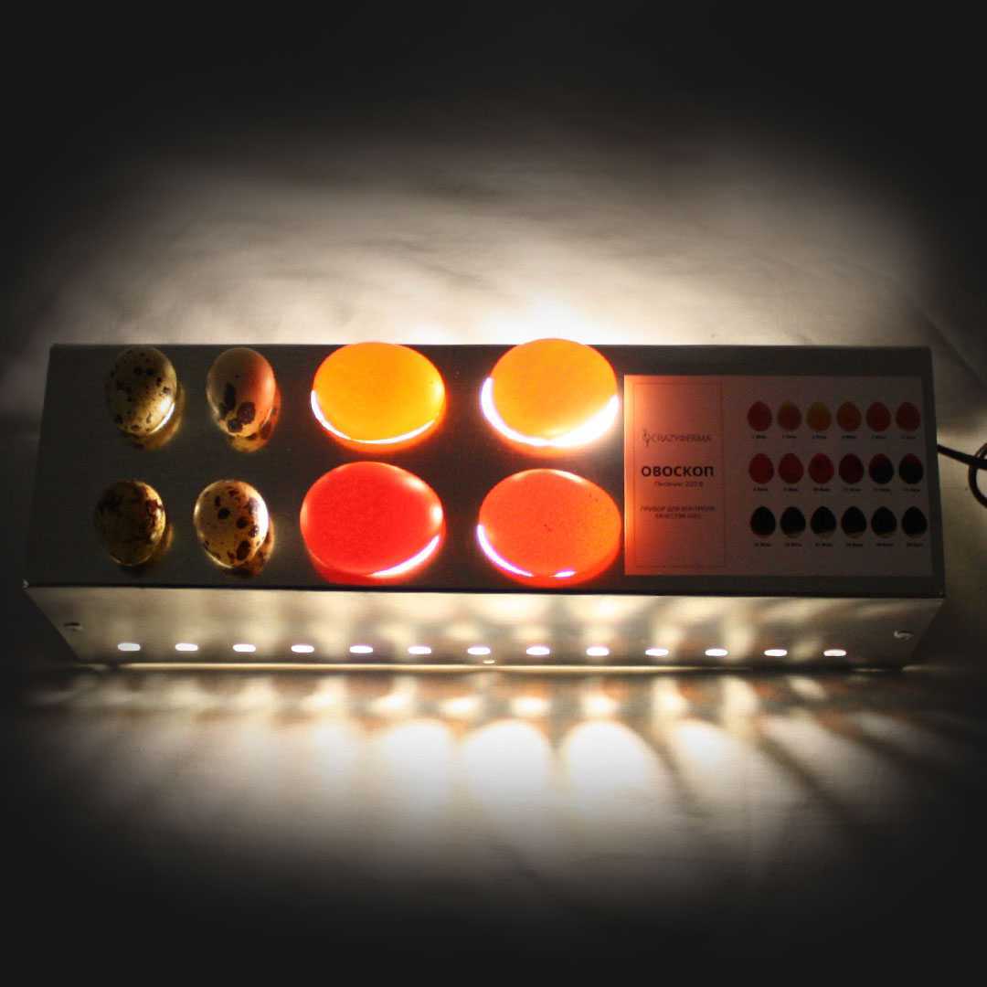 Овоскоп 4х4. Фото 3