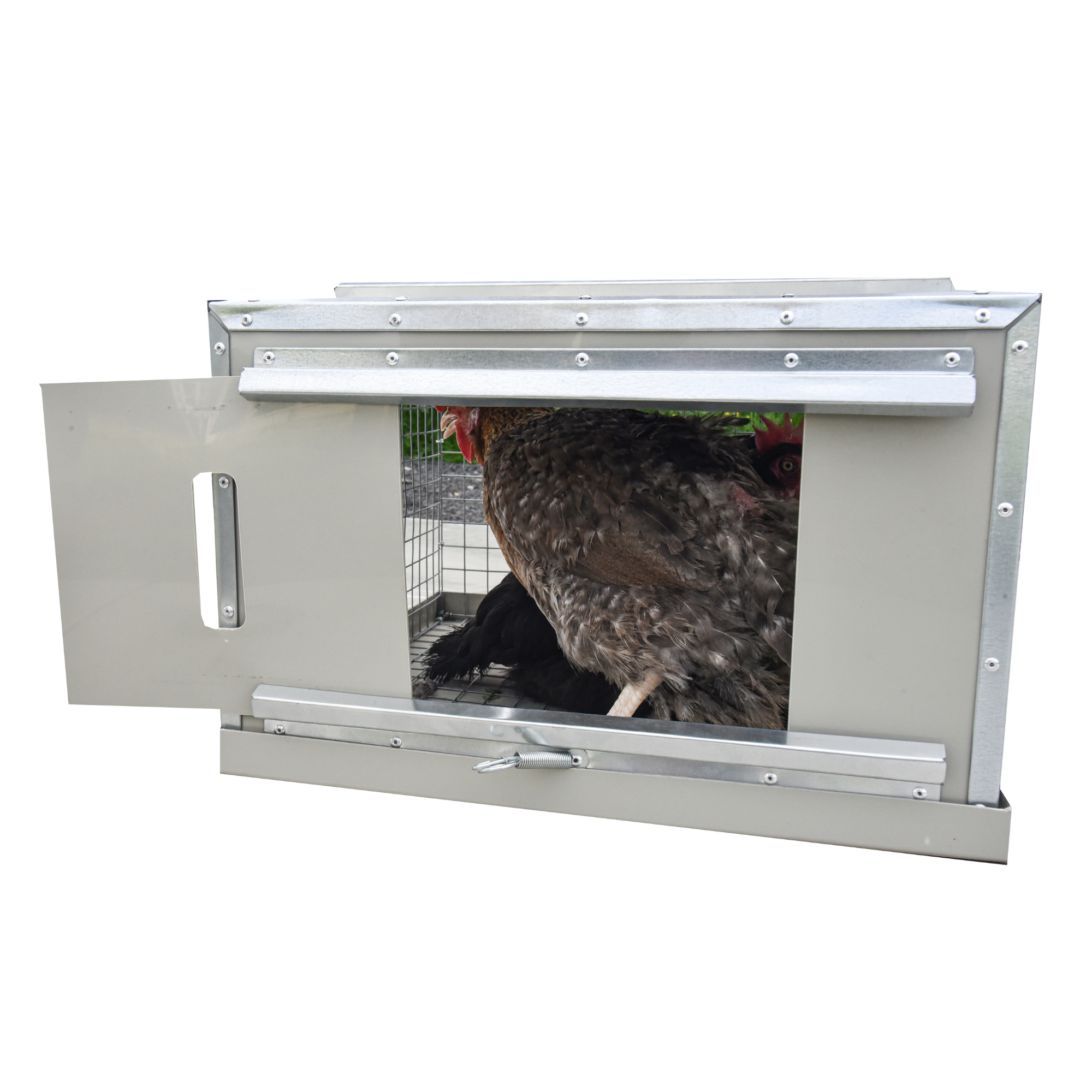 Клетка-переноска для птицы с 2 дверцами. Фото 21