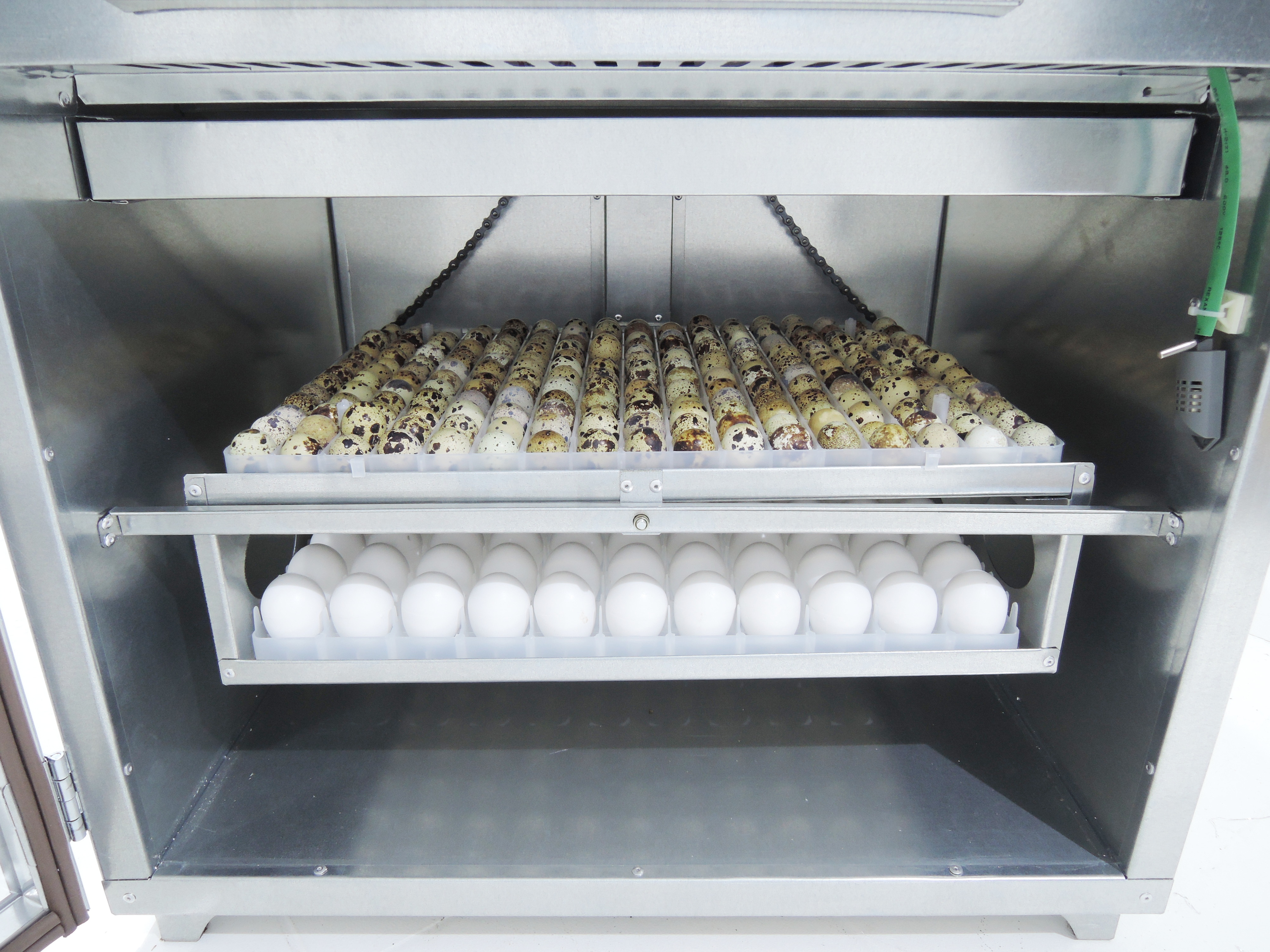 Инкубатор Гарант -176  "Стандарт". Фото 11