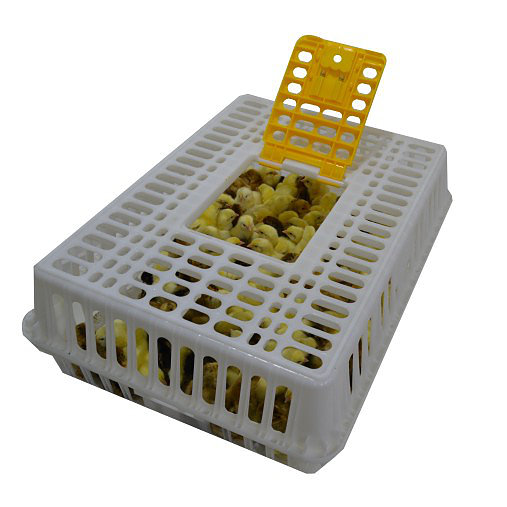 Переноска для кур и цыплят пластиковая. Фото 4