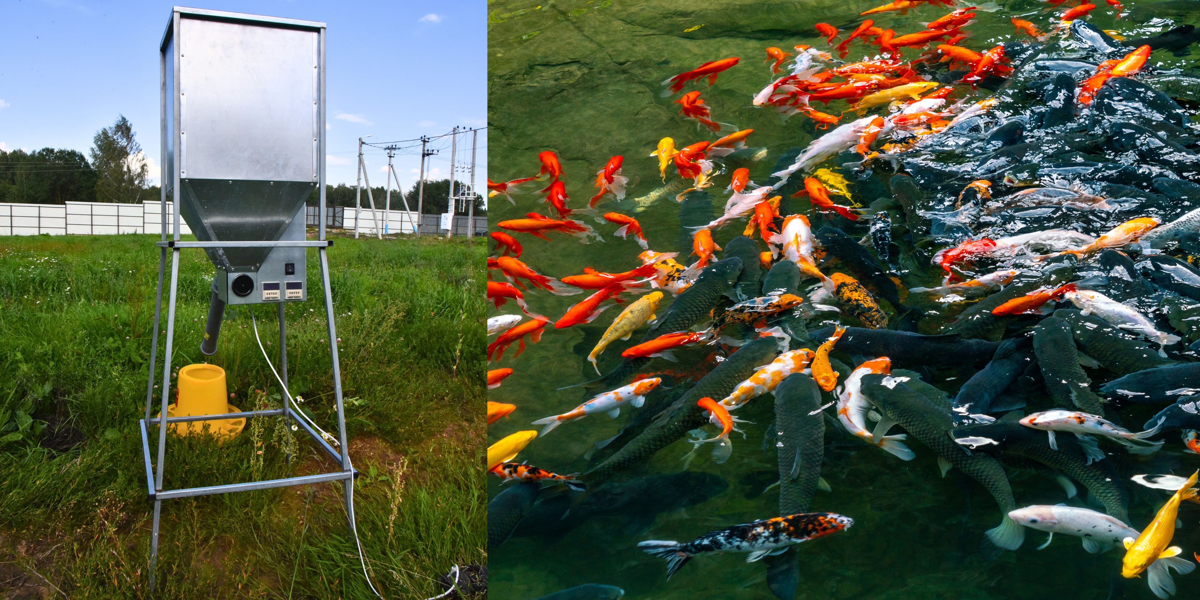 Бункер кормовой автоматический "Дозатор 45". Фото 22