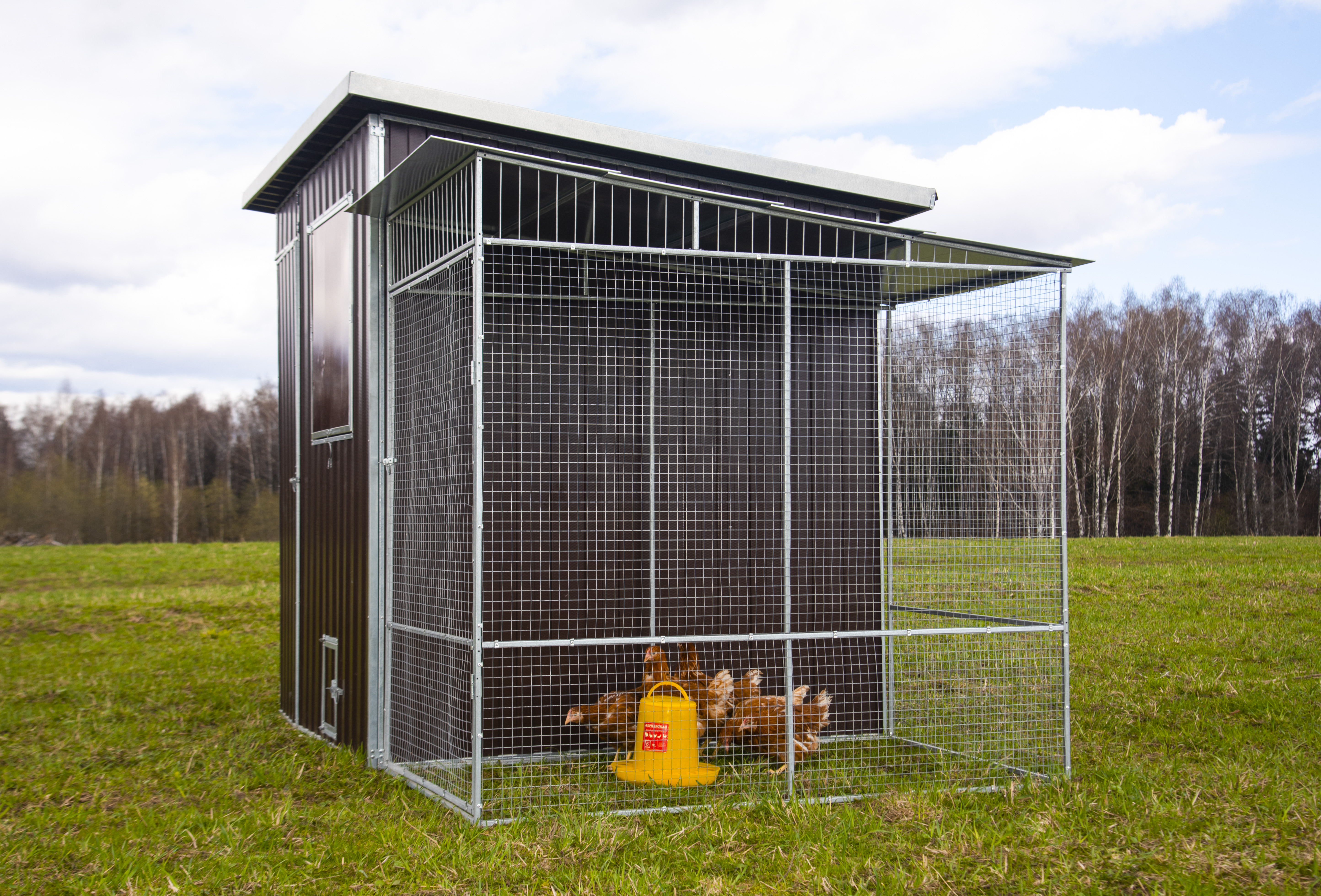 Выгул "Разгуляй" с крышей 1-1-К. Фото 3