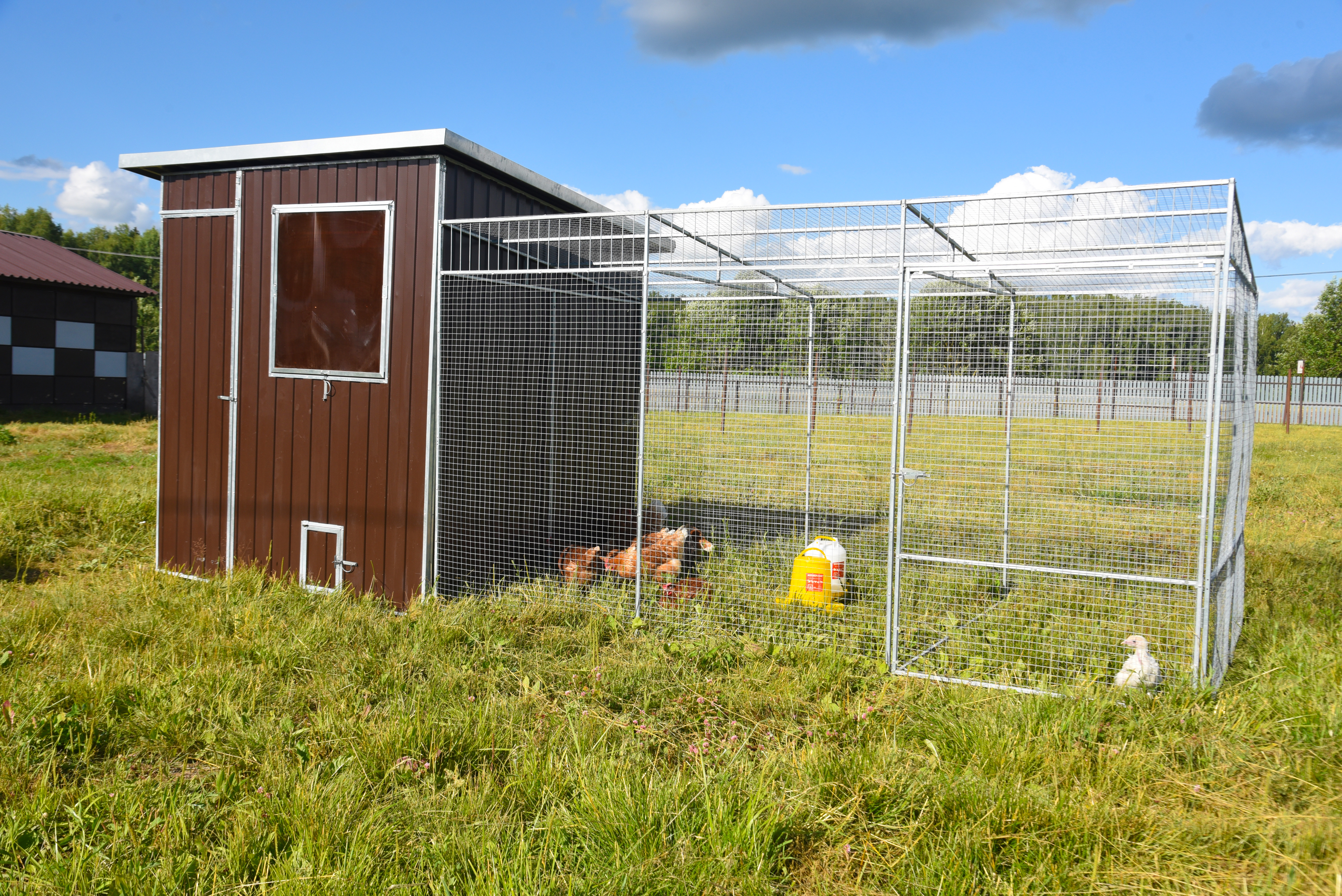Выгул "Разгуляй" приставной из сетки 1-2-СП. Фото 4