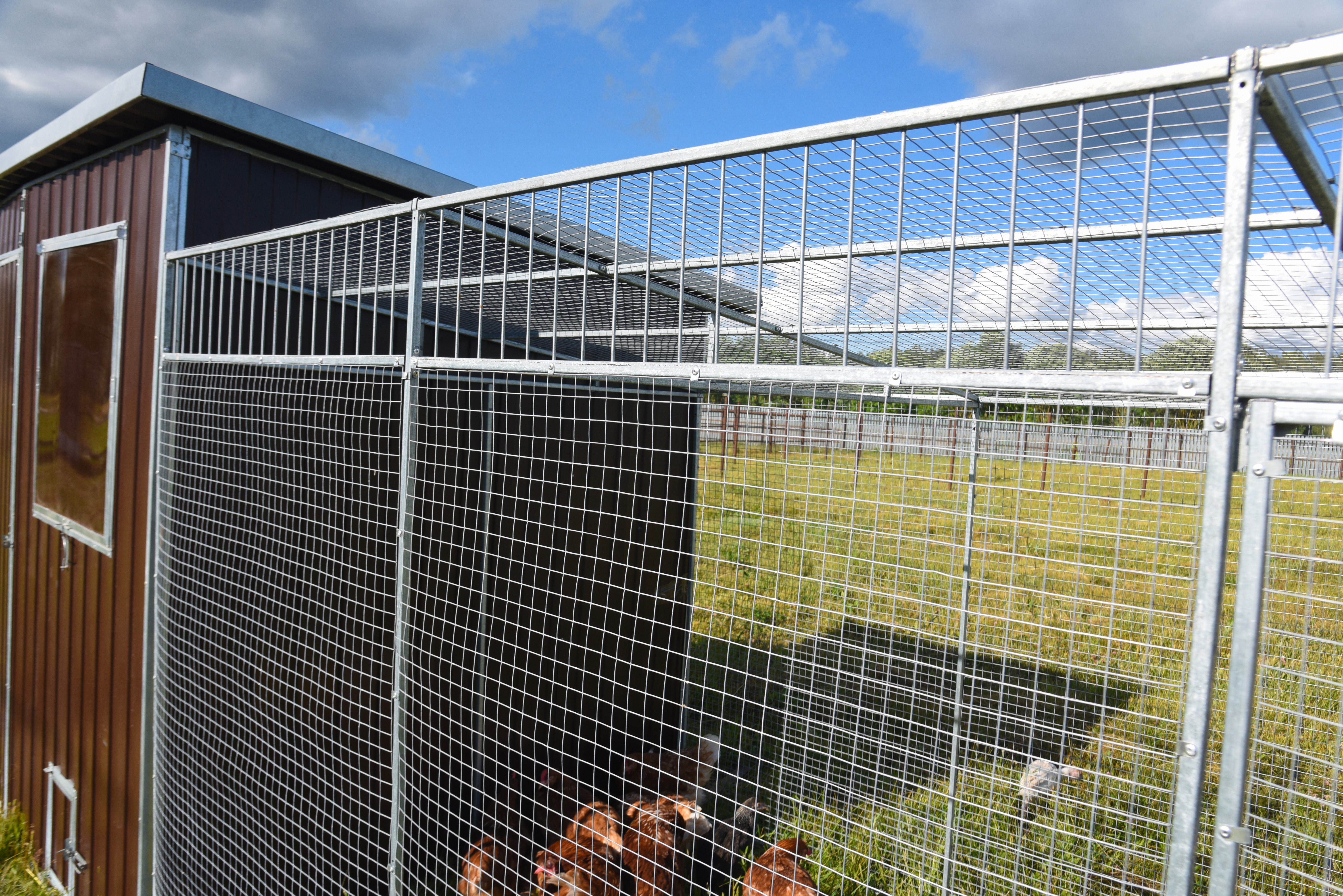 Выгул "Разгуляй" приставной из сетки 1-1-СП. Фото 13