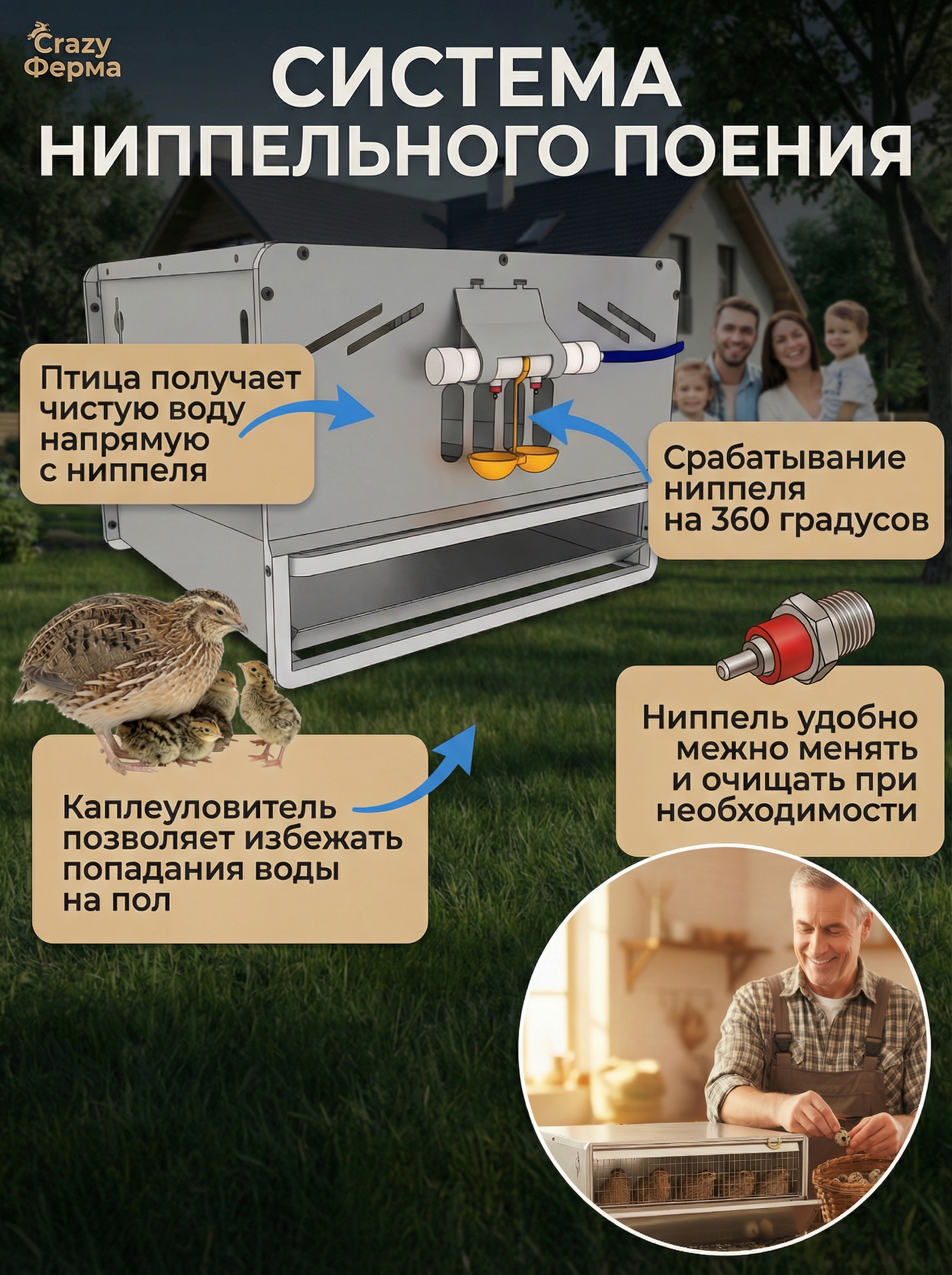 Рамная клетка для перепелов на 120 голов . Фото 2