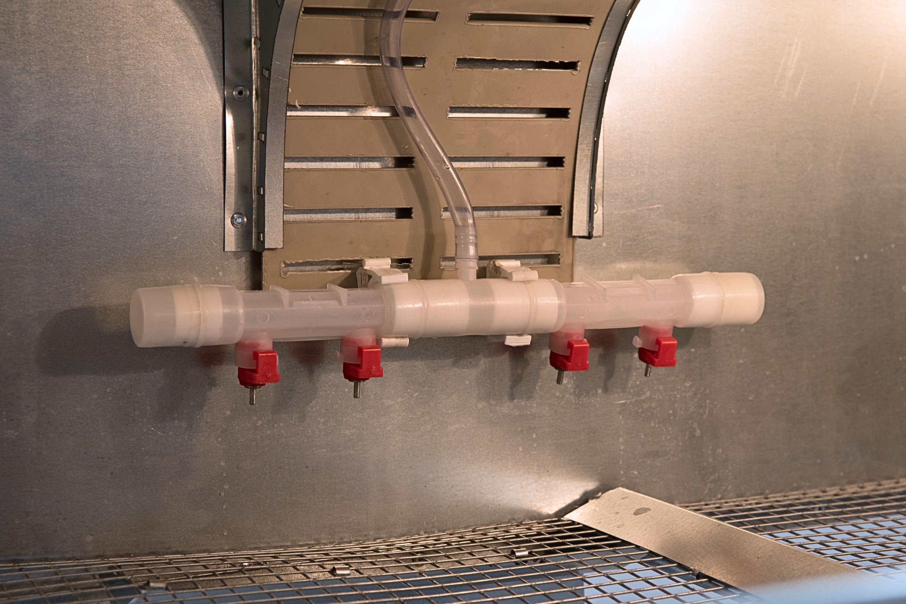 Брудер для цыплят автоматический "Рост А100". Фото 17