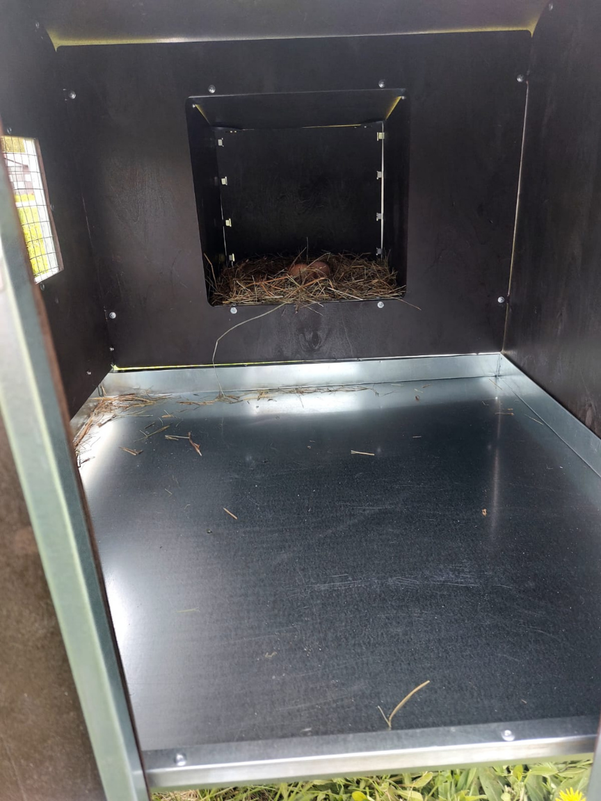 Курятник "Фазенда" на 8-10 кур. Фото 21