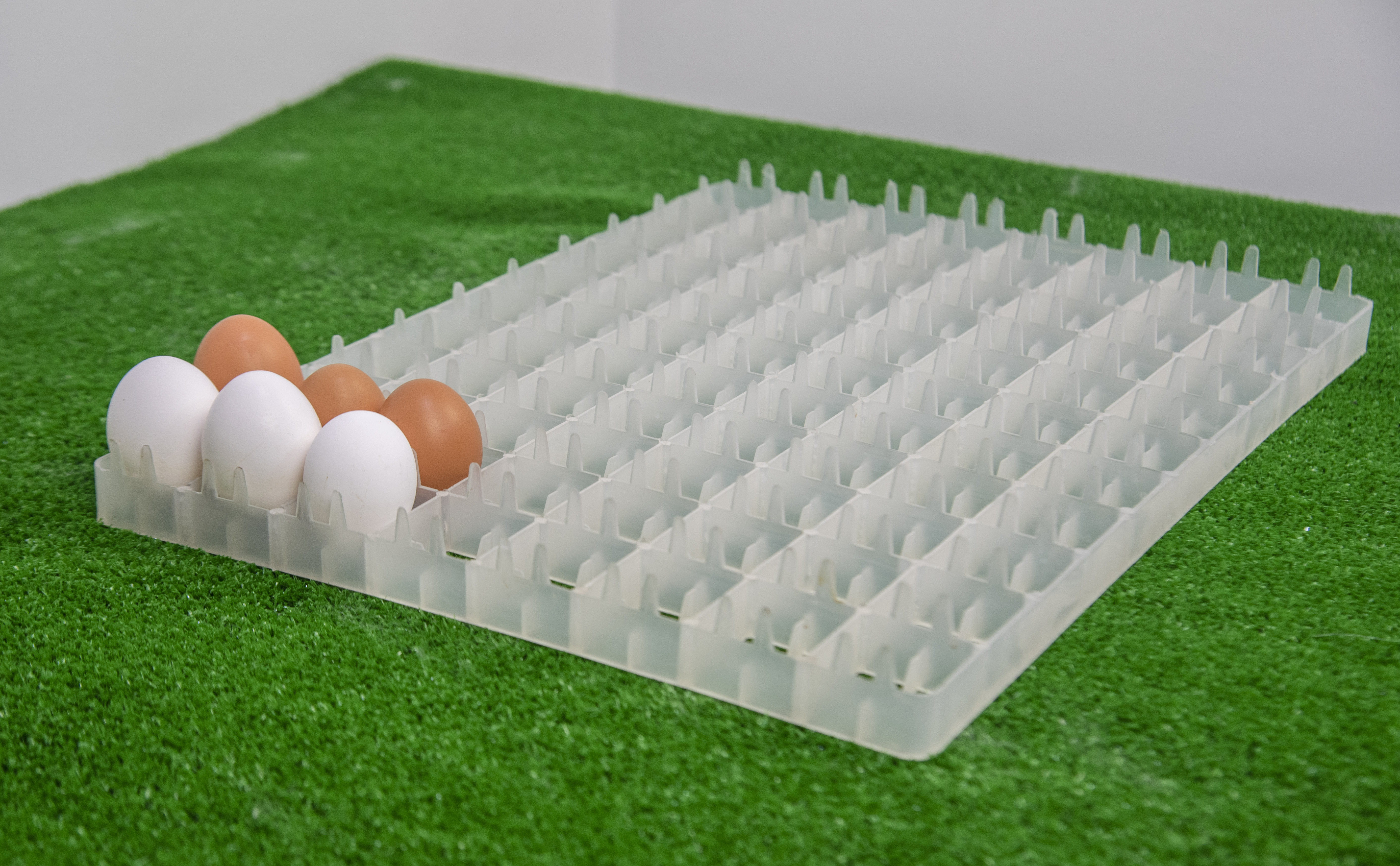 Сотовый лоток для куриных яиц. Фото 2