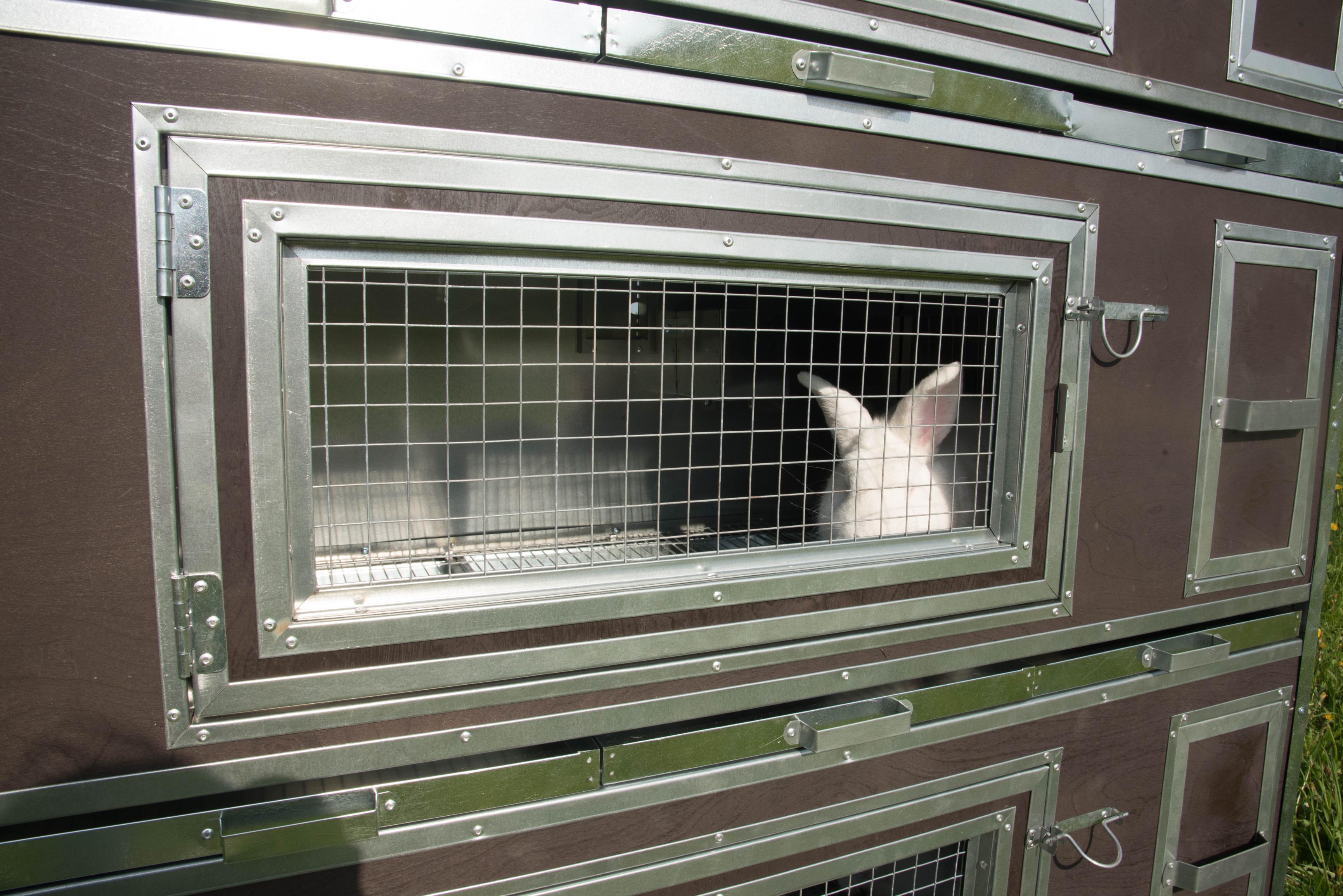 Утепленный отапливаемый крольчатник "Бестселлер" М-13. Фото 12