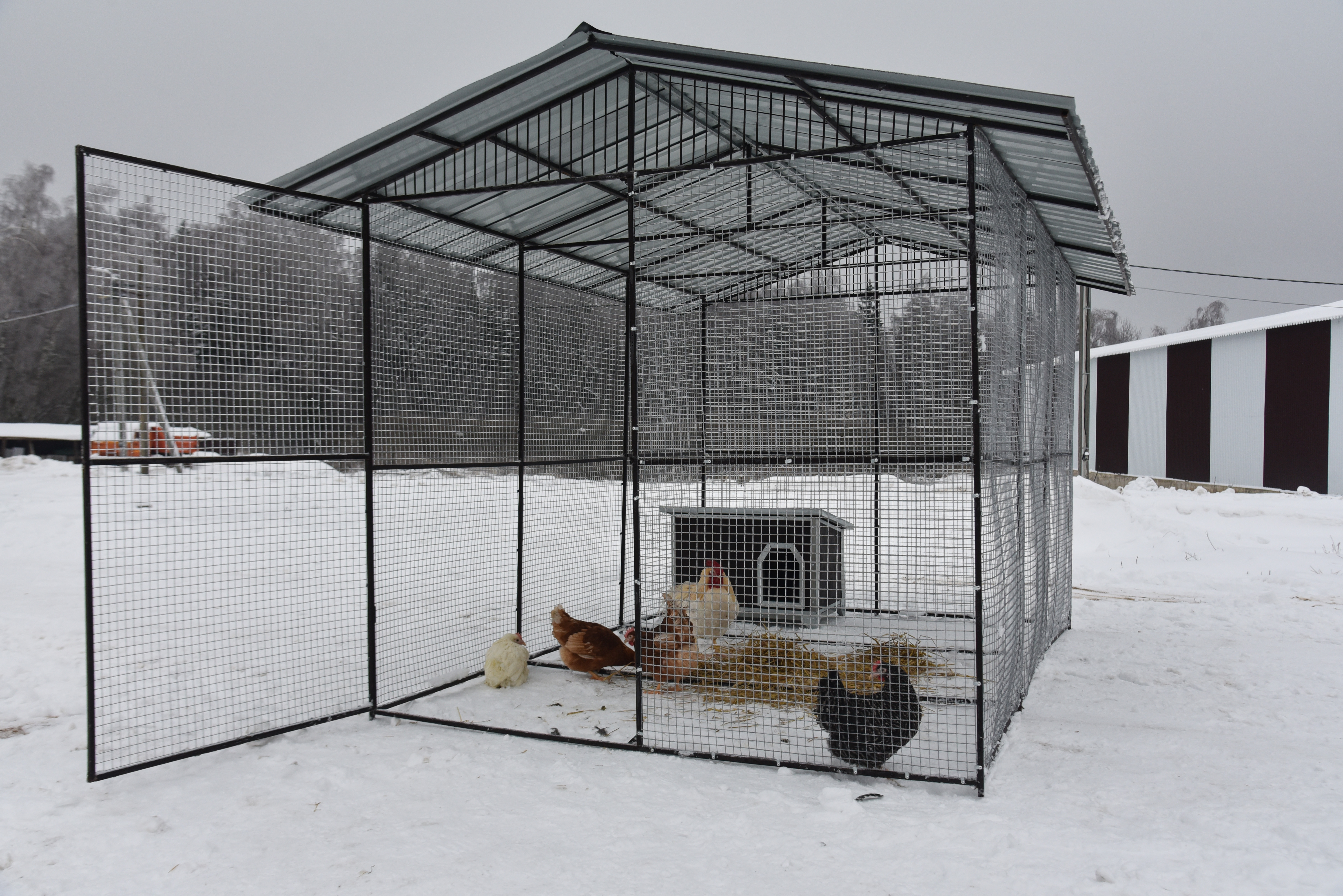 Выгул "Разгуляй" с крышей 2-2-К. Фото 10