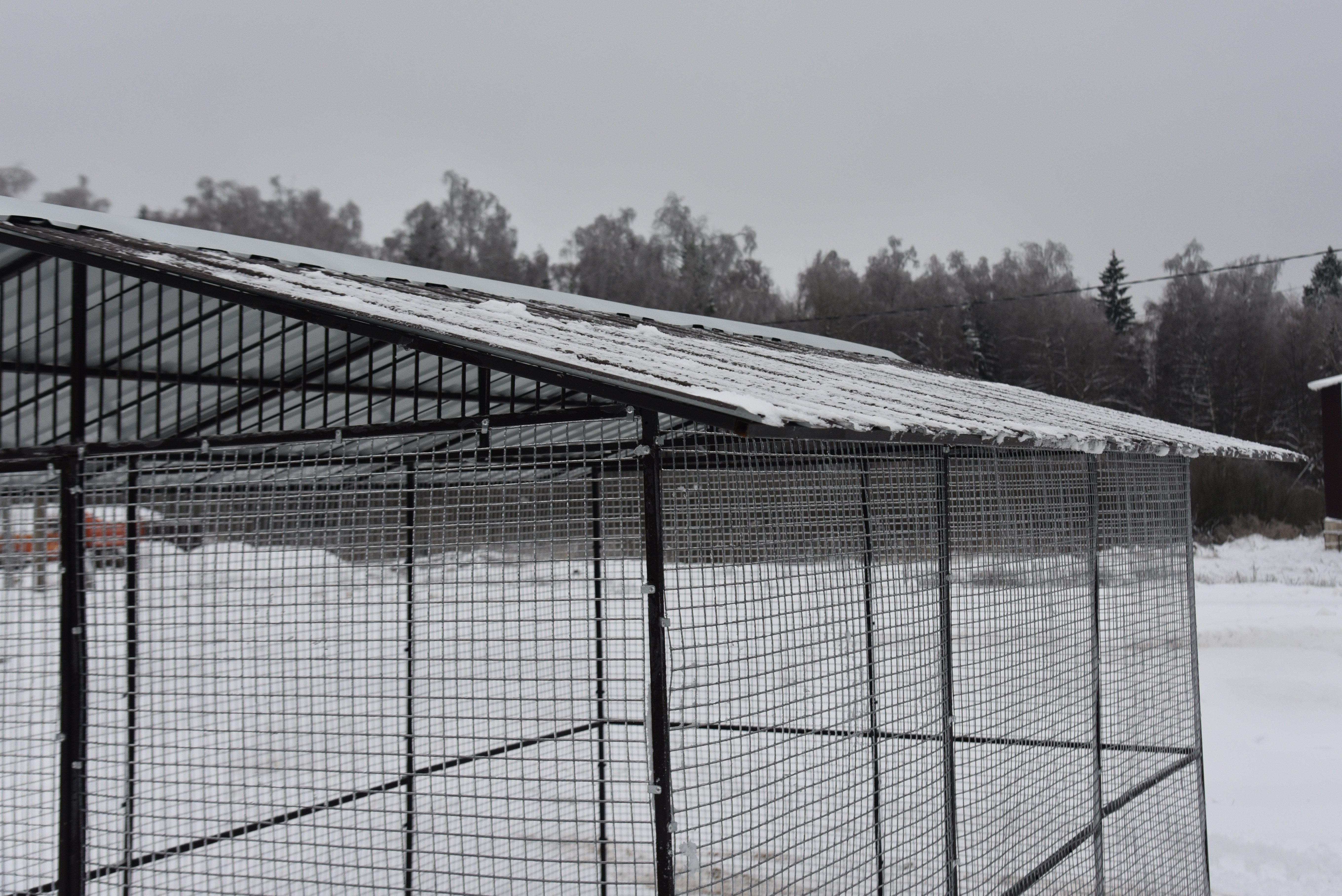 Выгул "Разгуляй" с крышей 2-6-К. Фото 15