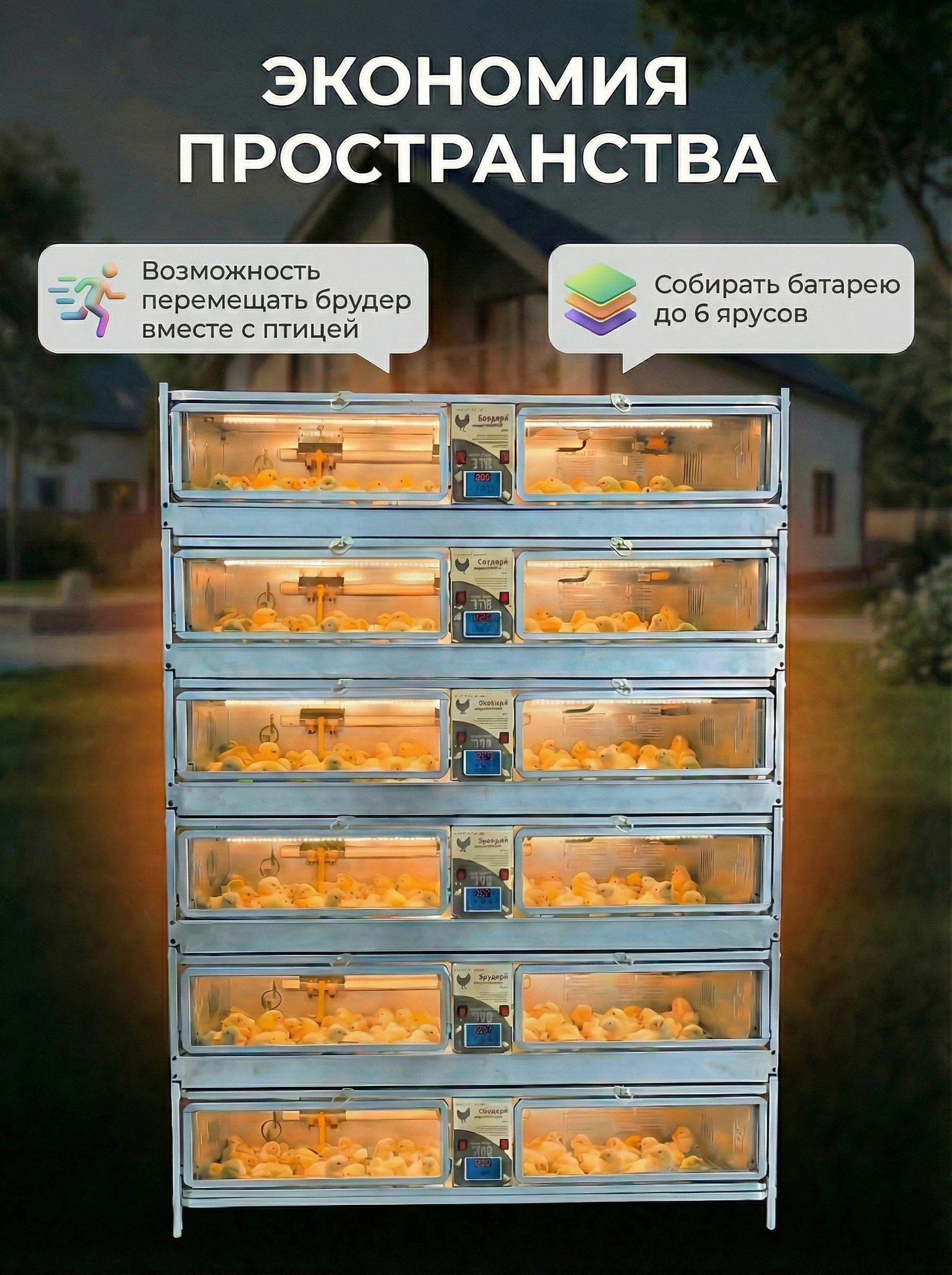 Рамный цифровой брудер 0711 Премиум. Фото 4