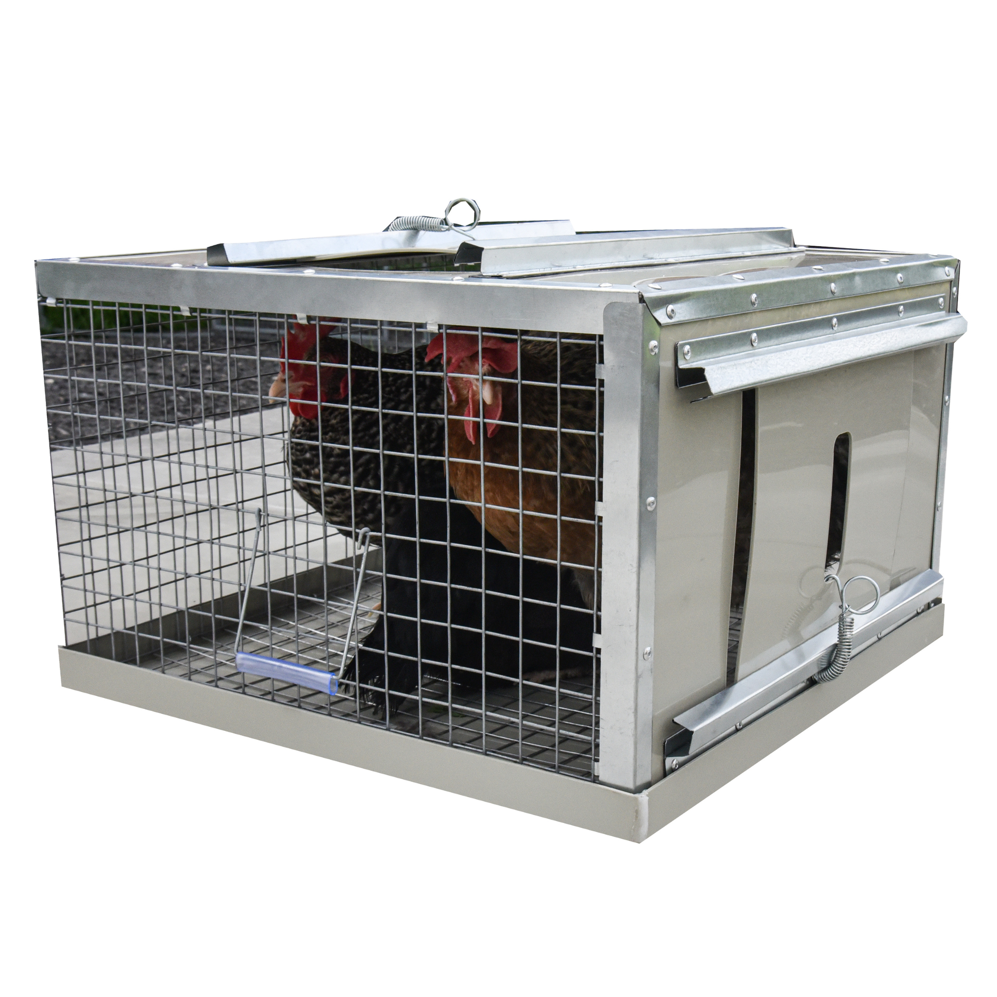 Клетка-переноска для птицы с 2 дверцами. Фото 6