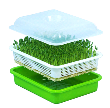 Лоток с крышкой для проращивания семян. Фото 1