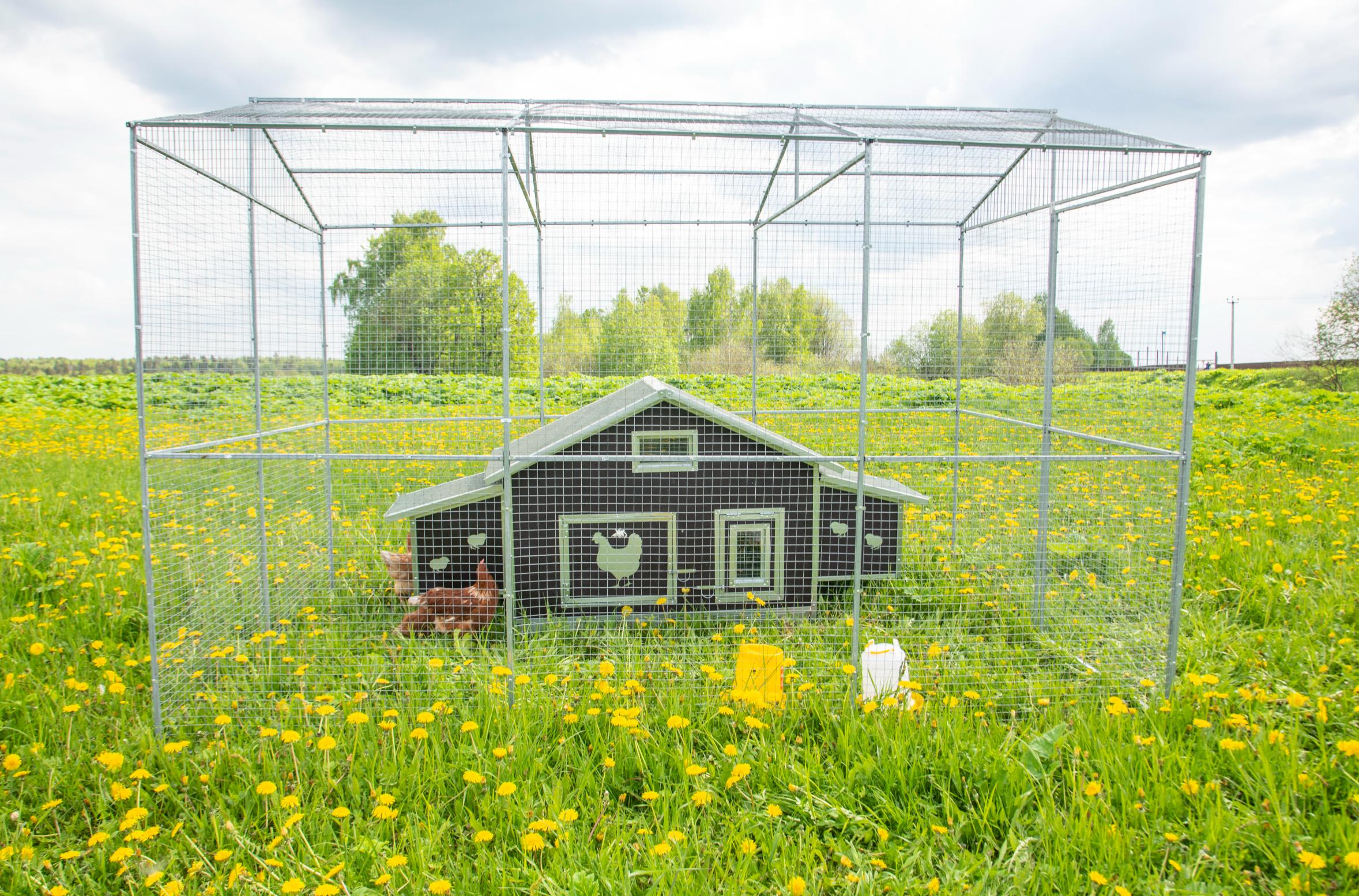 Выгул "Разгуляй" с крышей 2-5-К. Фото 7