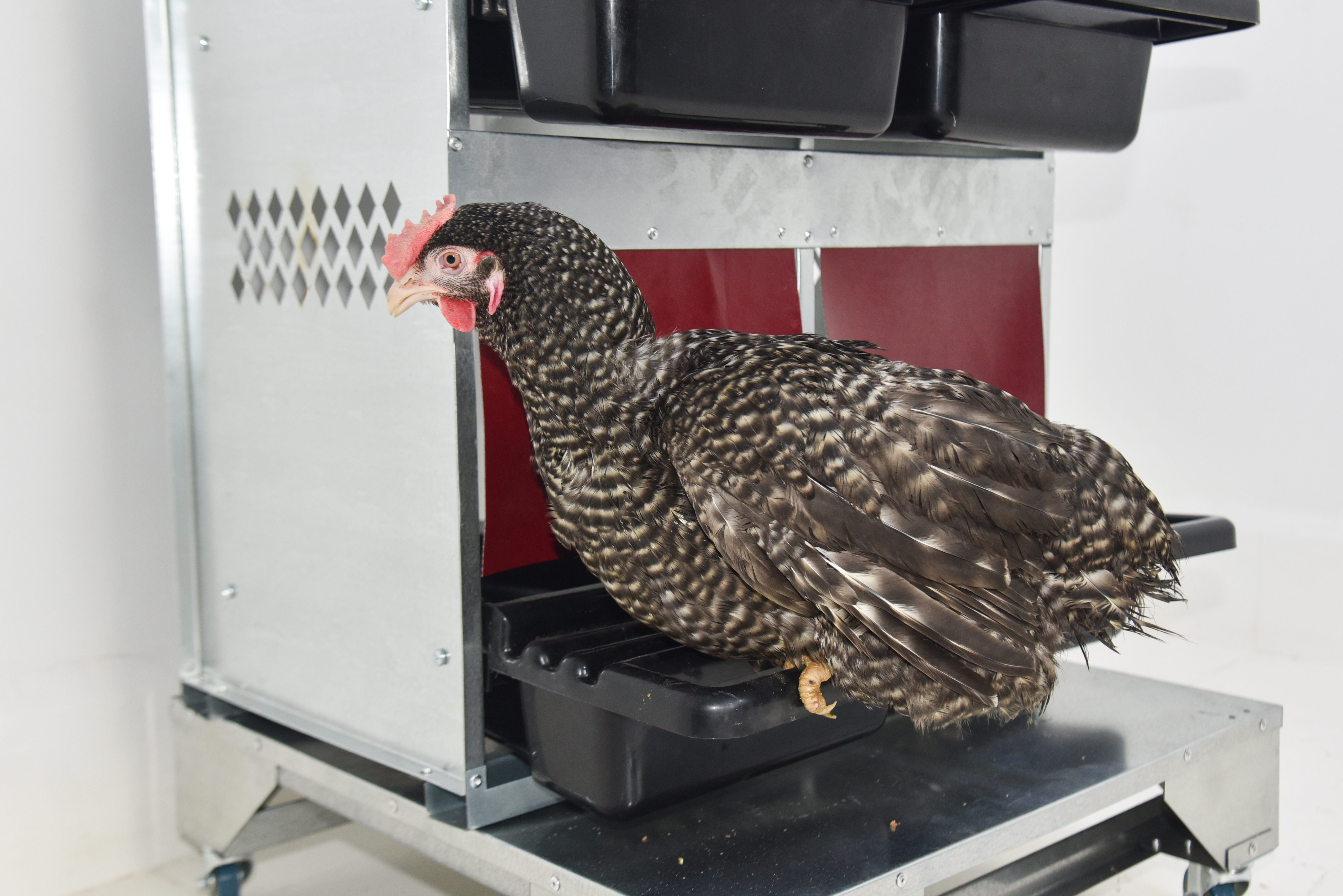 Гнездо для кур-несушек "Компакт" 1-1. Фото 19