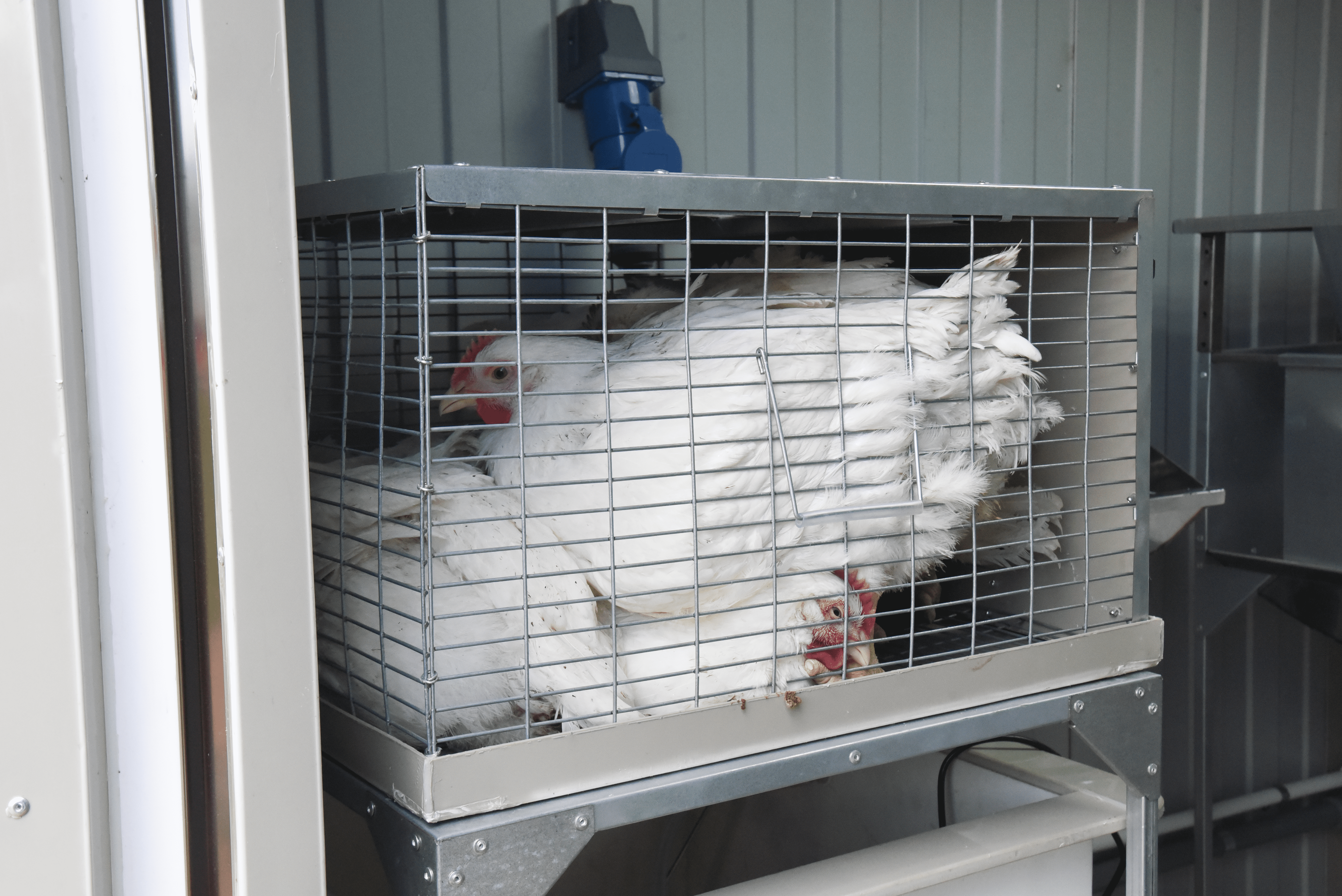 Убойный цех "ТЕХНОЛАЙН" 24/7. Фото 22