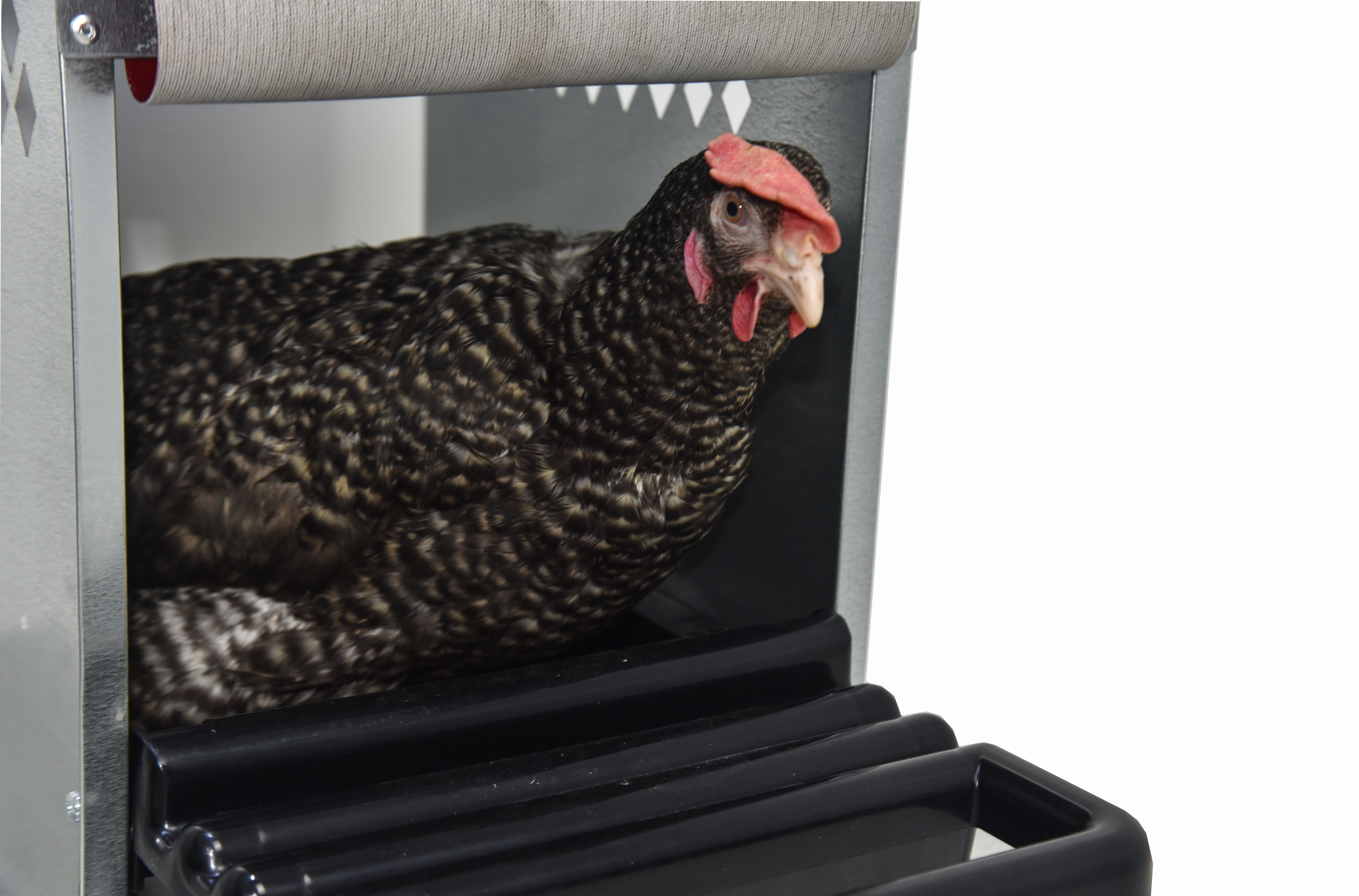 Гнездо для кур-несушек "Компакт" 4-1. Фото 3