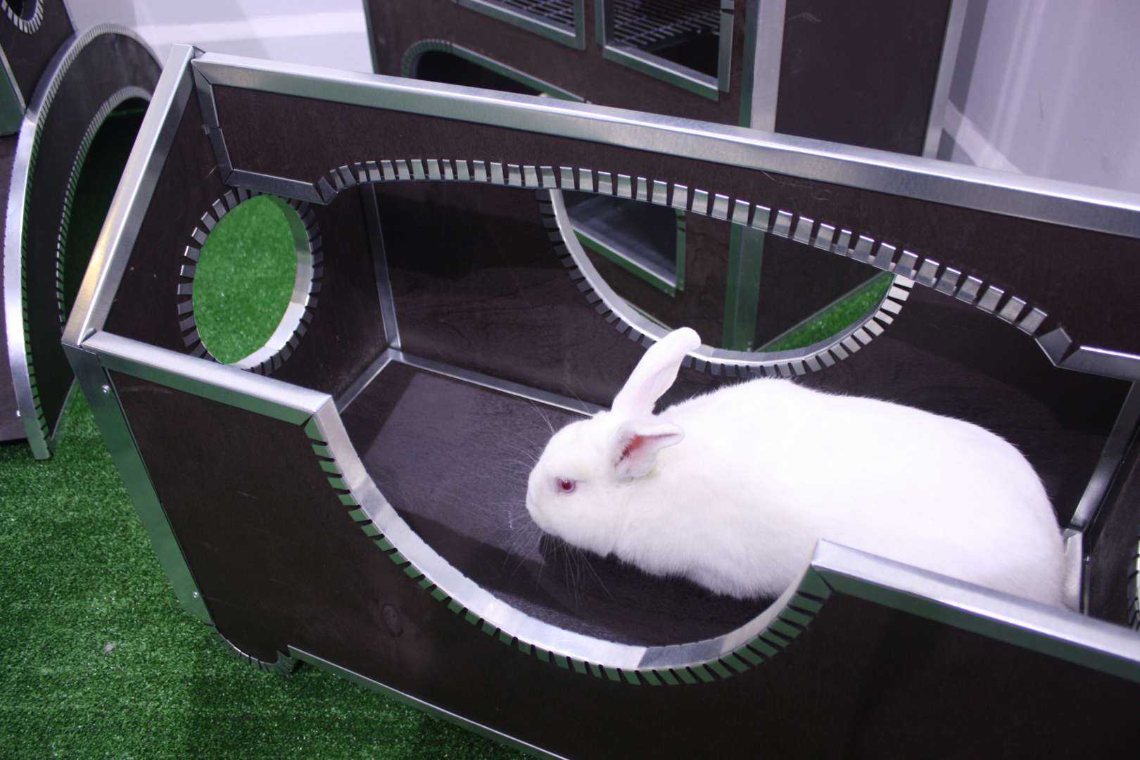 Лазелка для декоративных кроликов "Вольер". Фото 3