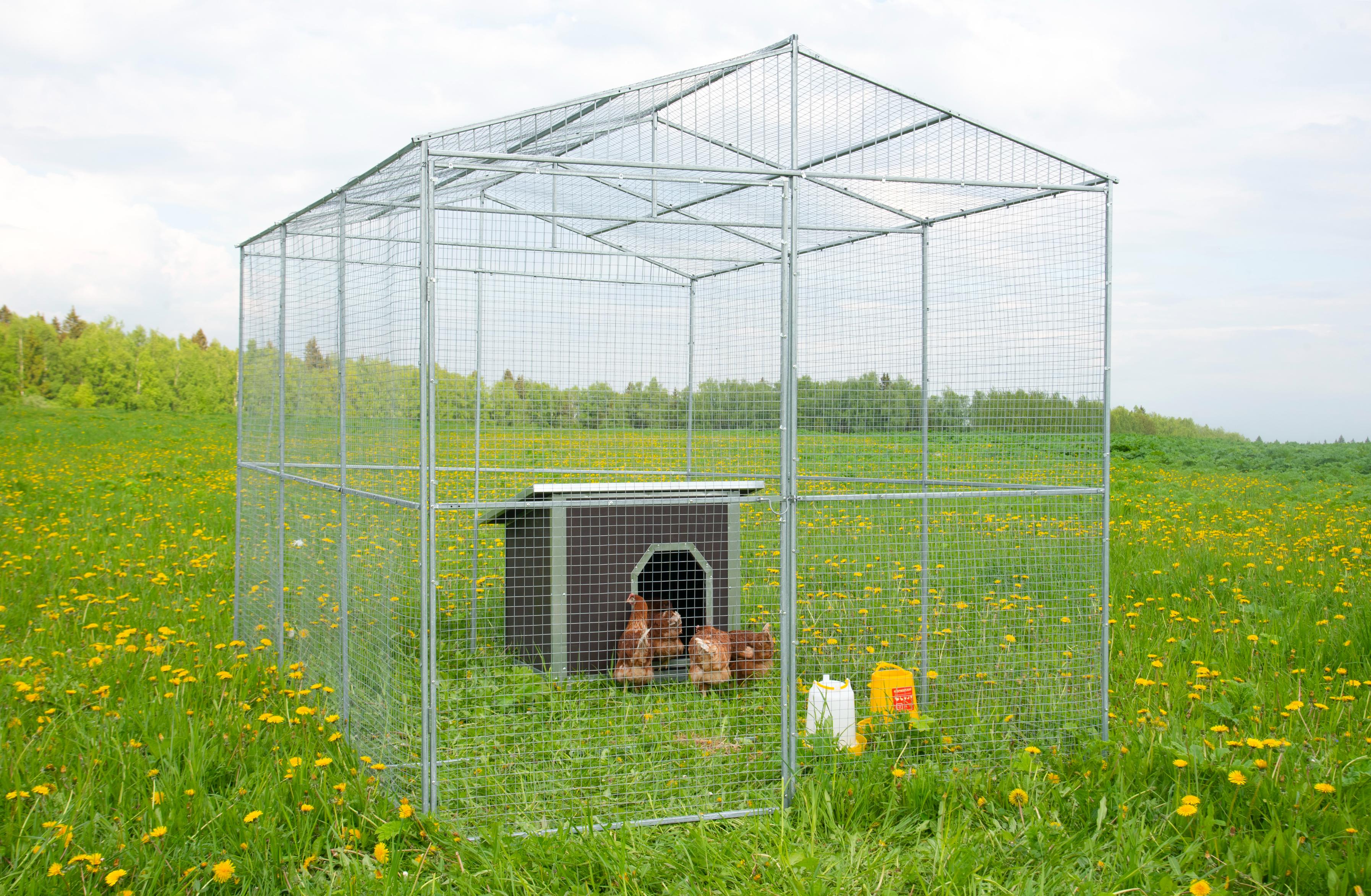 Выгул "Разгуляй" из сетки 2-4-С. Фото 8