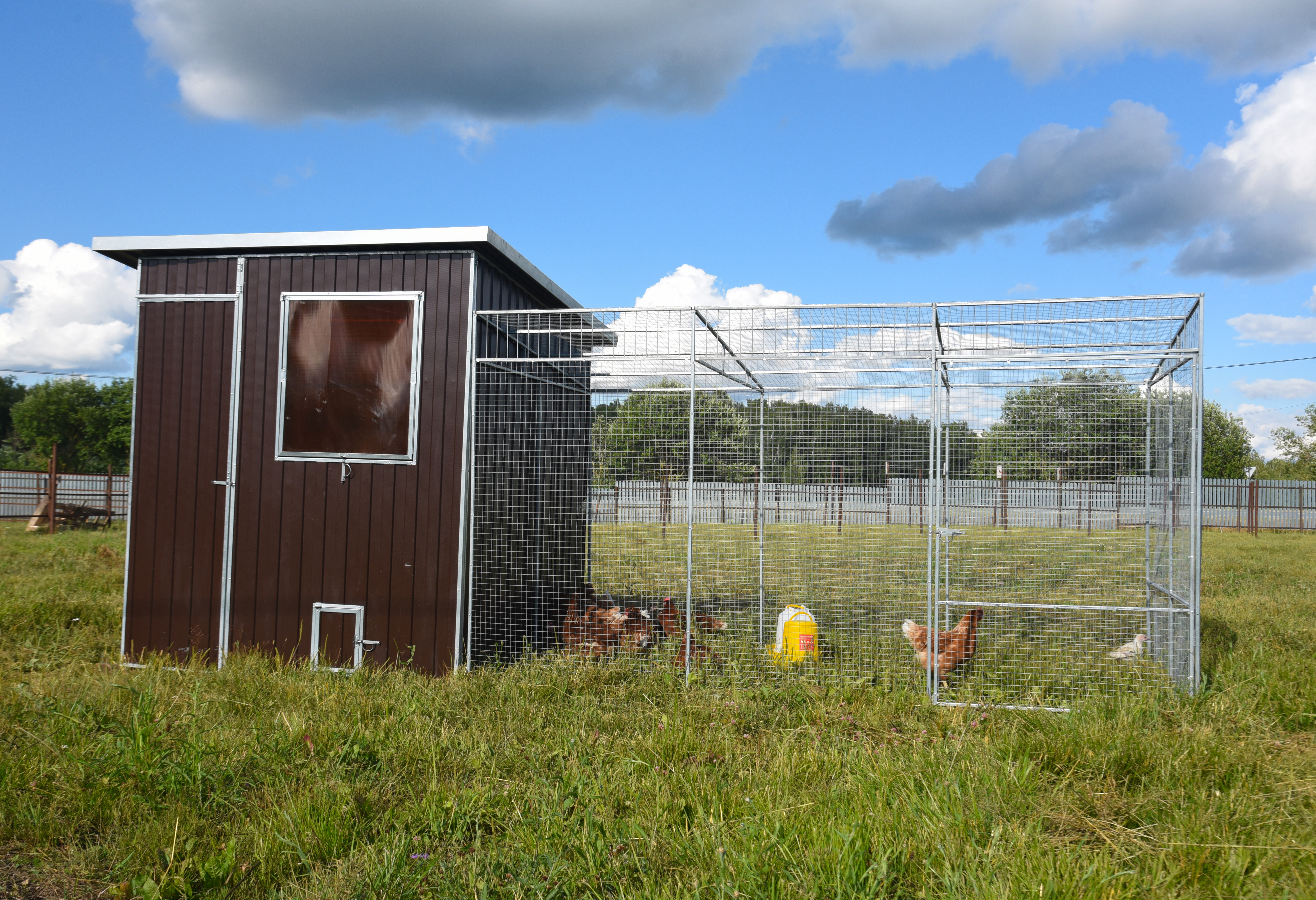 Выгул "Разгуляй" приставной из сетки 1-1-СП. Фото 3