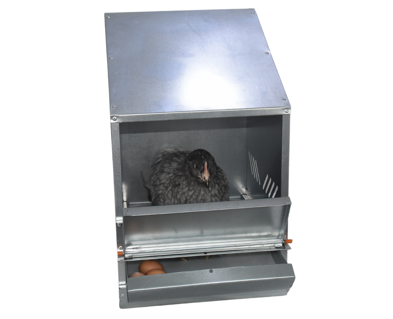 Гнездо для кур-несушек 4-1. Фото 3