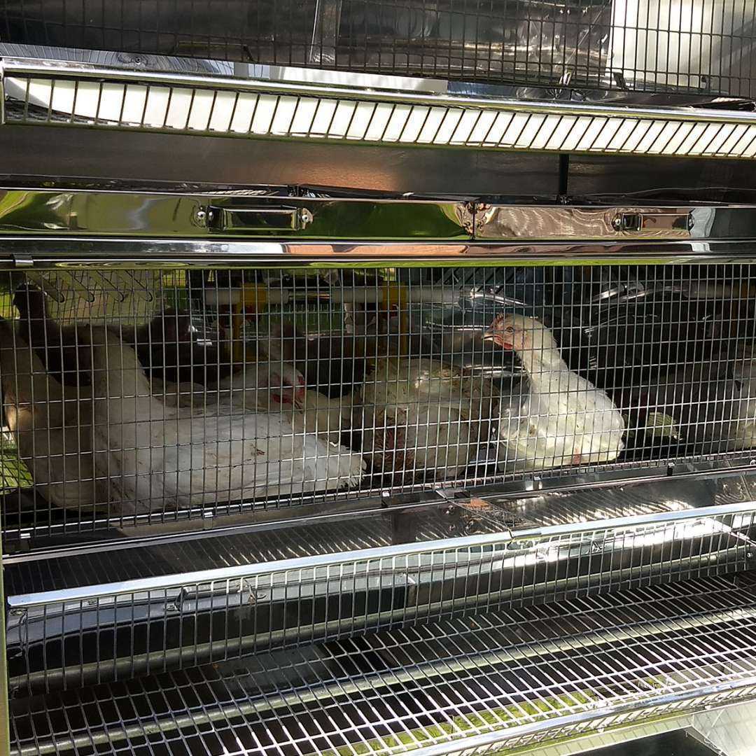 Утепленный отапливаемый уличный птичник "4 сезона" . Фото 13