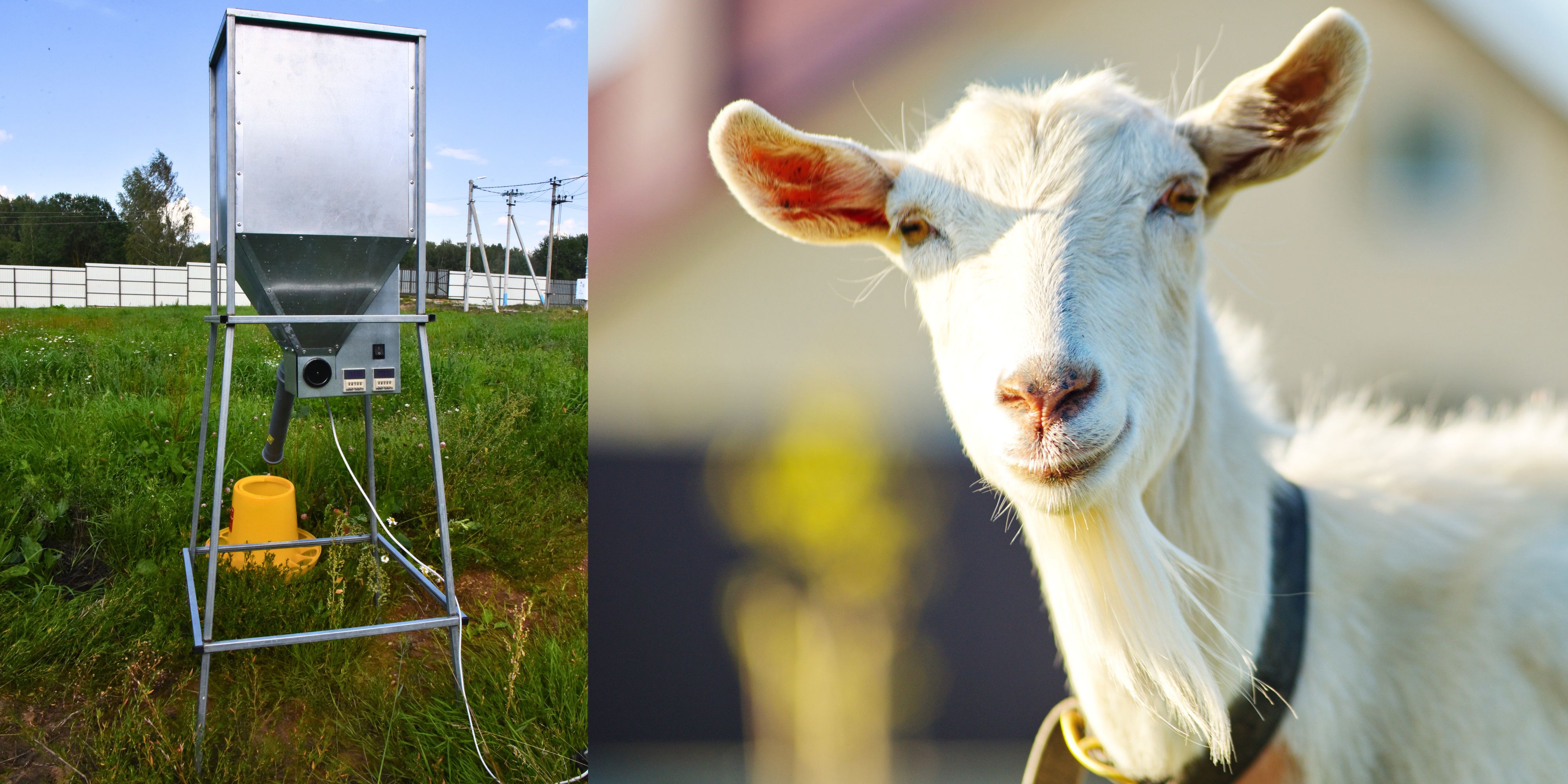 Бункер кормовой автоматический "Дозатор 90". Фото 13