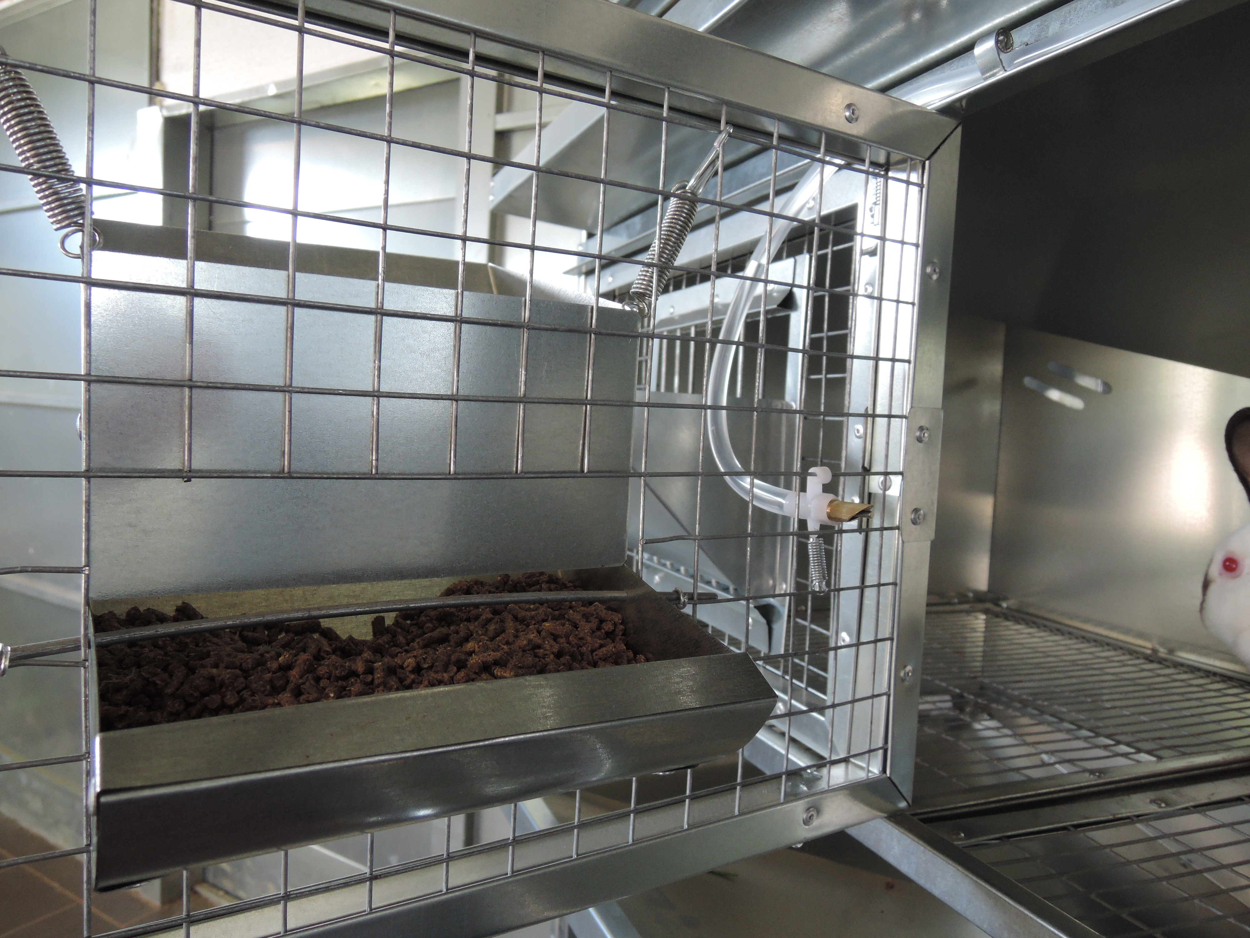 Клетка для кроликов "Профессионал  Элит" 95-КО-3. Фото 6