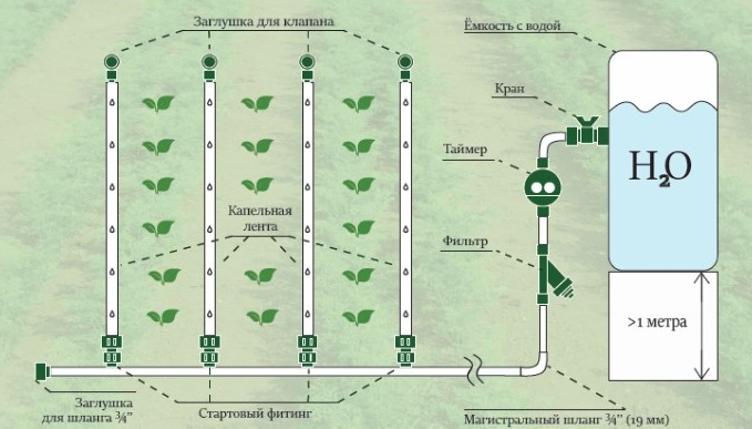 Система капельного полива для теплиц. Фото 1