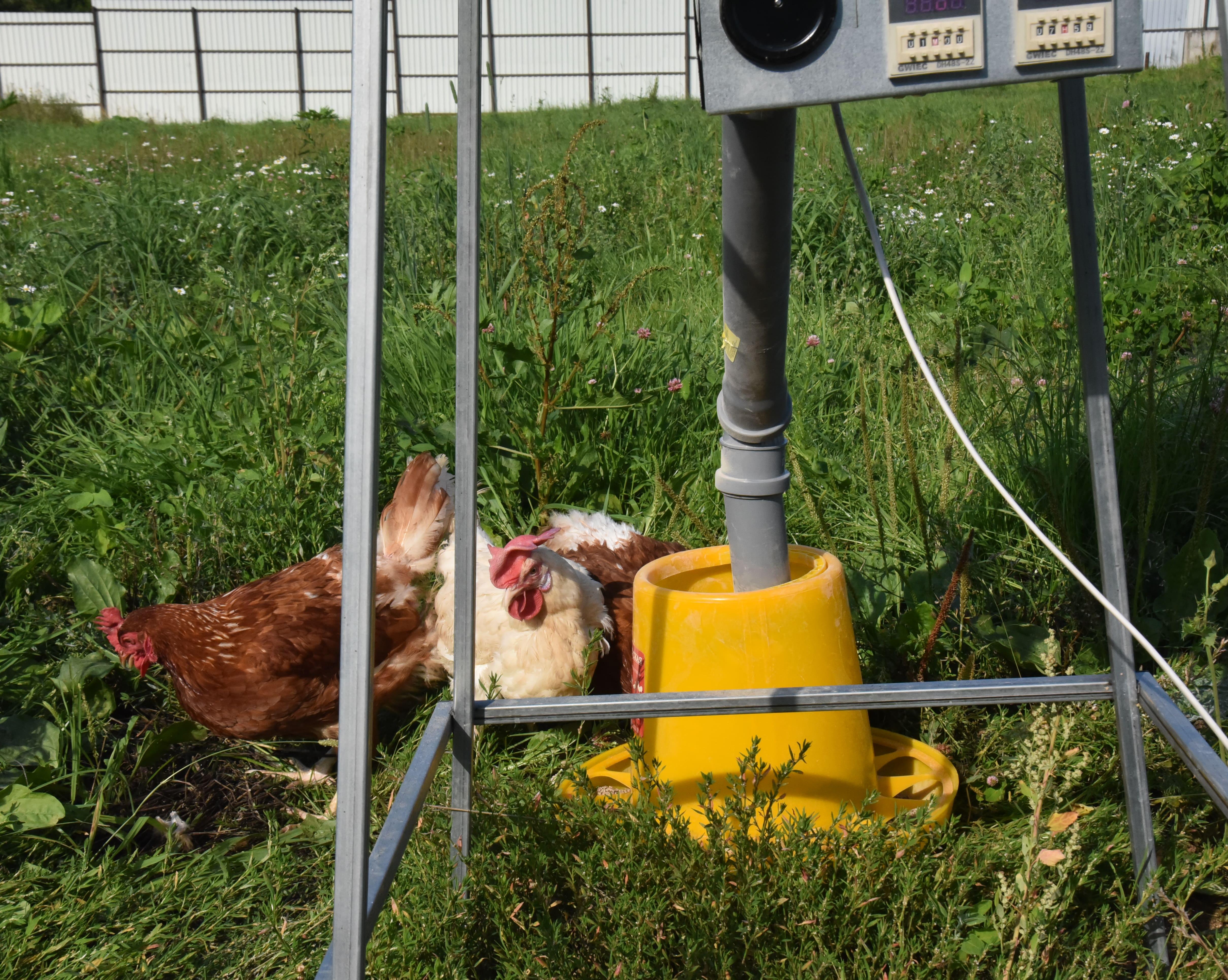 Бункер кормовой автоматический "Дозатор 135". Фото 10