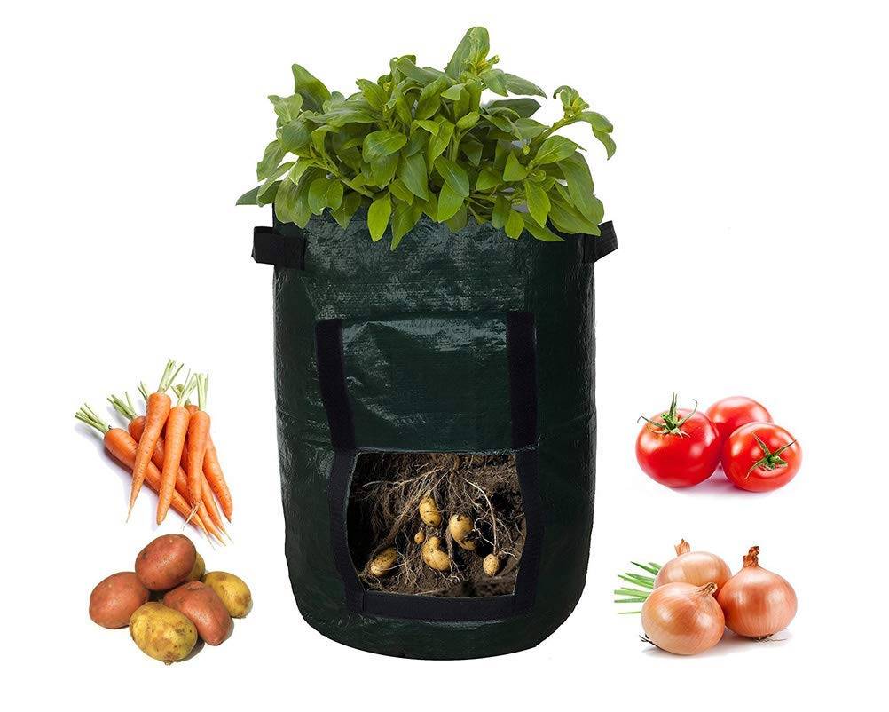 Полиэтиленовая сумка для выращивания картофеля. Фото 3