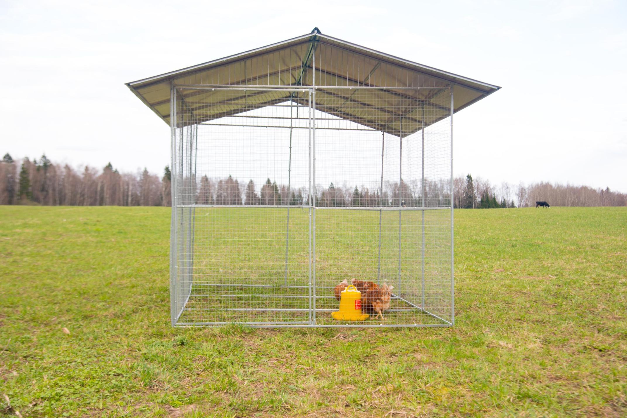 Выгул "Разгуляй" с крышей 2-6-К. Фото 1