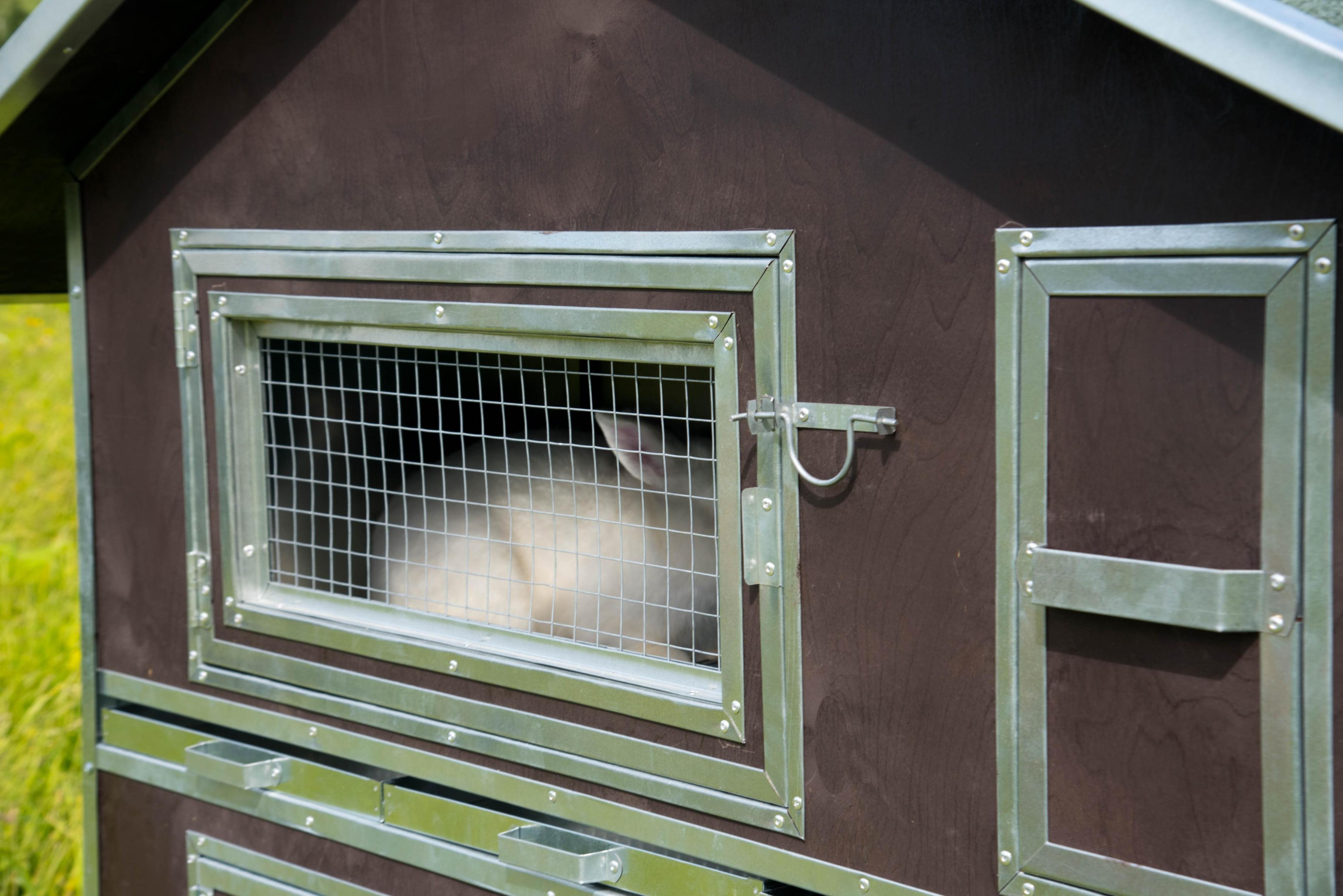 Утепленный отапливаемый крольчатник "Бестселлер" О-22. Фото 4