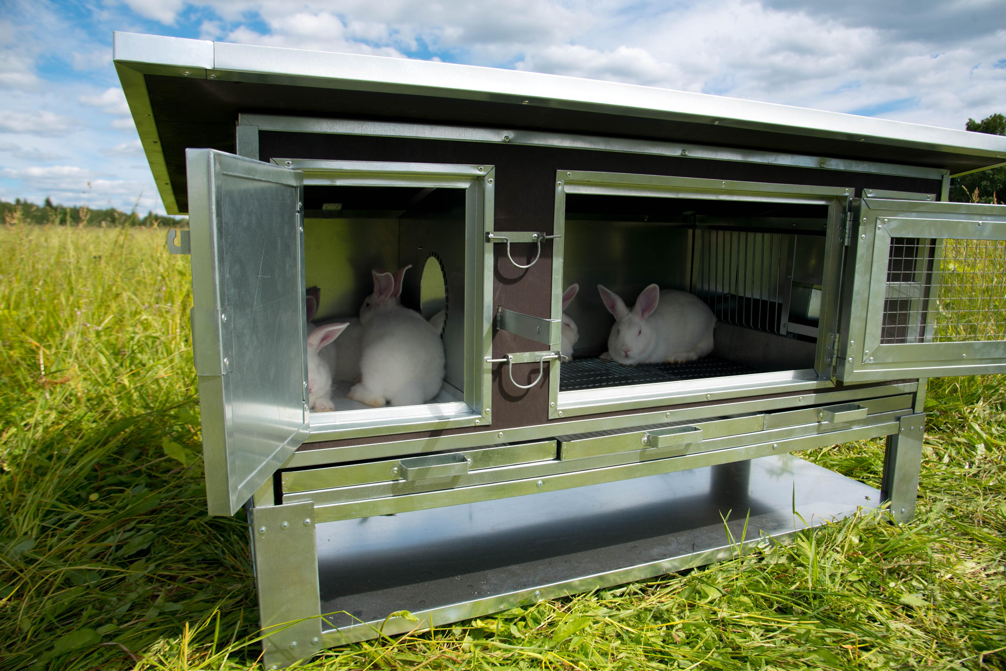 Утепленный отапливаемый крольчатник "Бестселлер" М-11. Фото 7