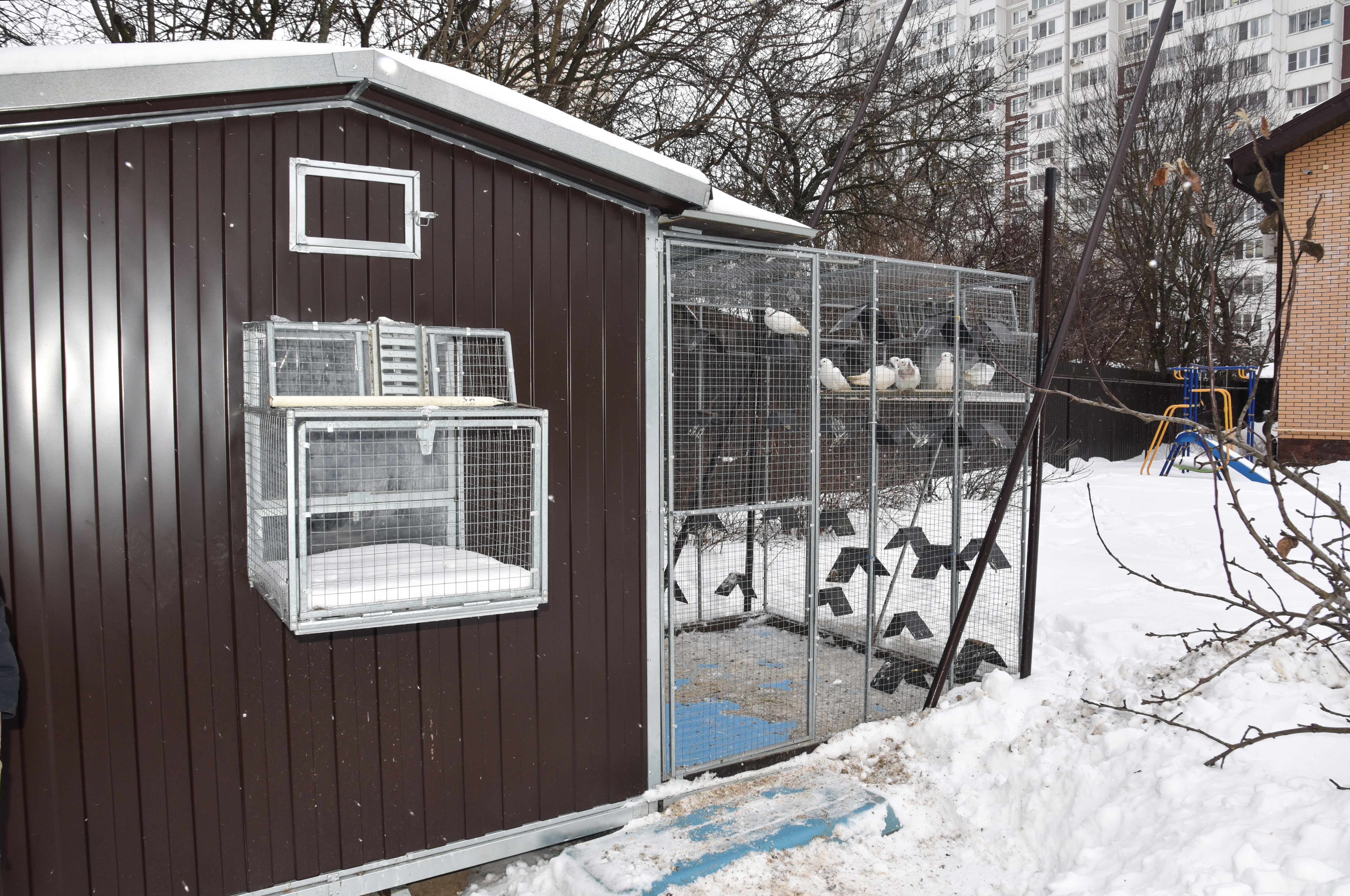 Голубятня "Любовь". Фото 33