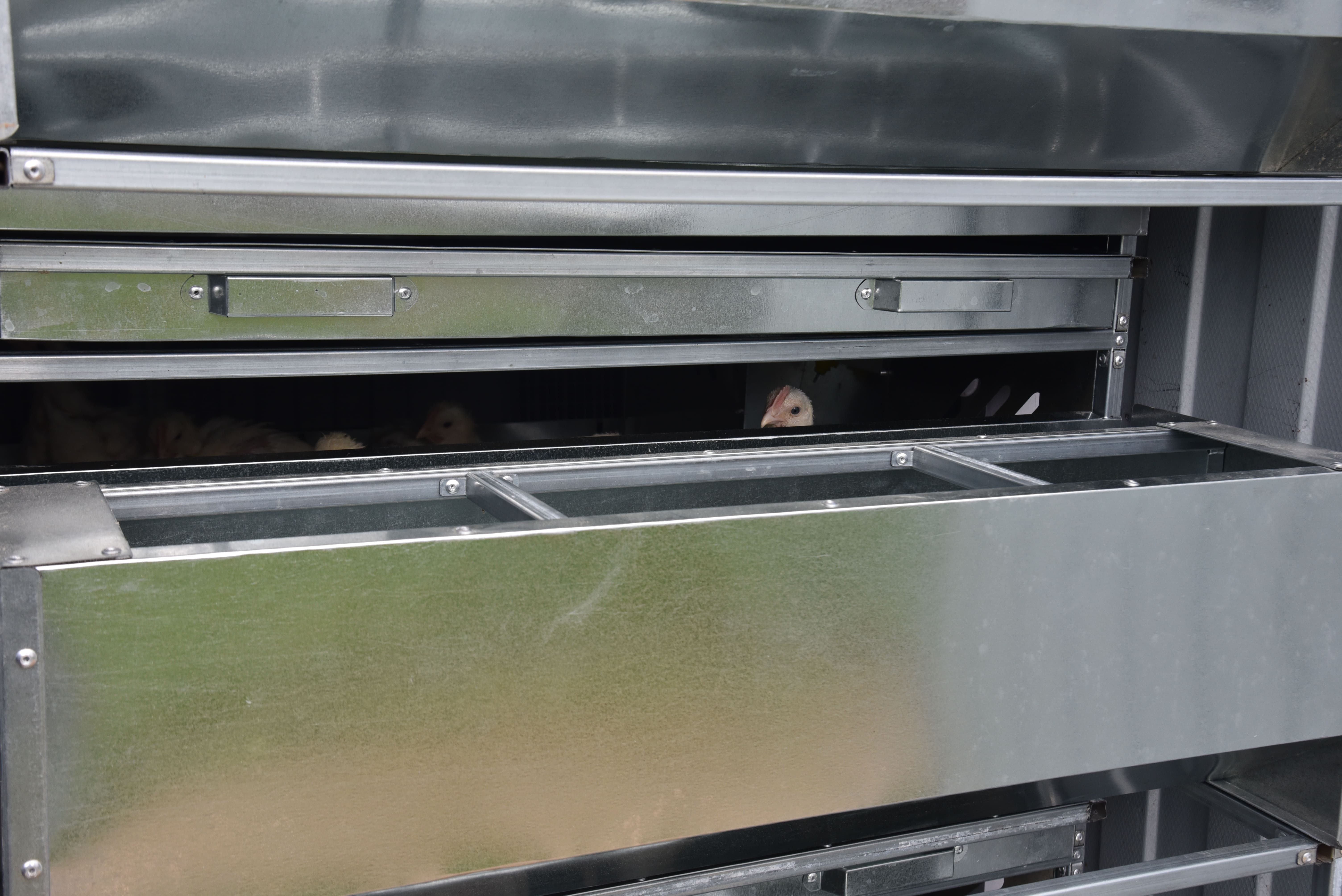 Автоматический уличный брудер "Идеальный папа". Фото 20