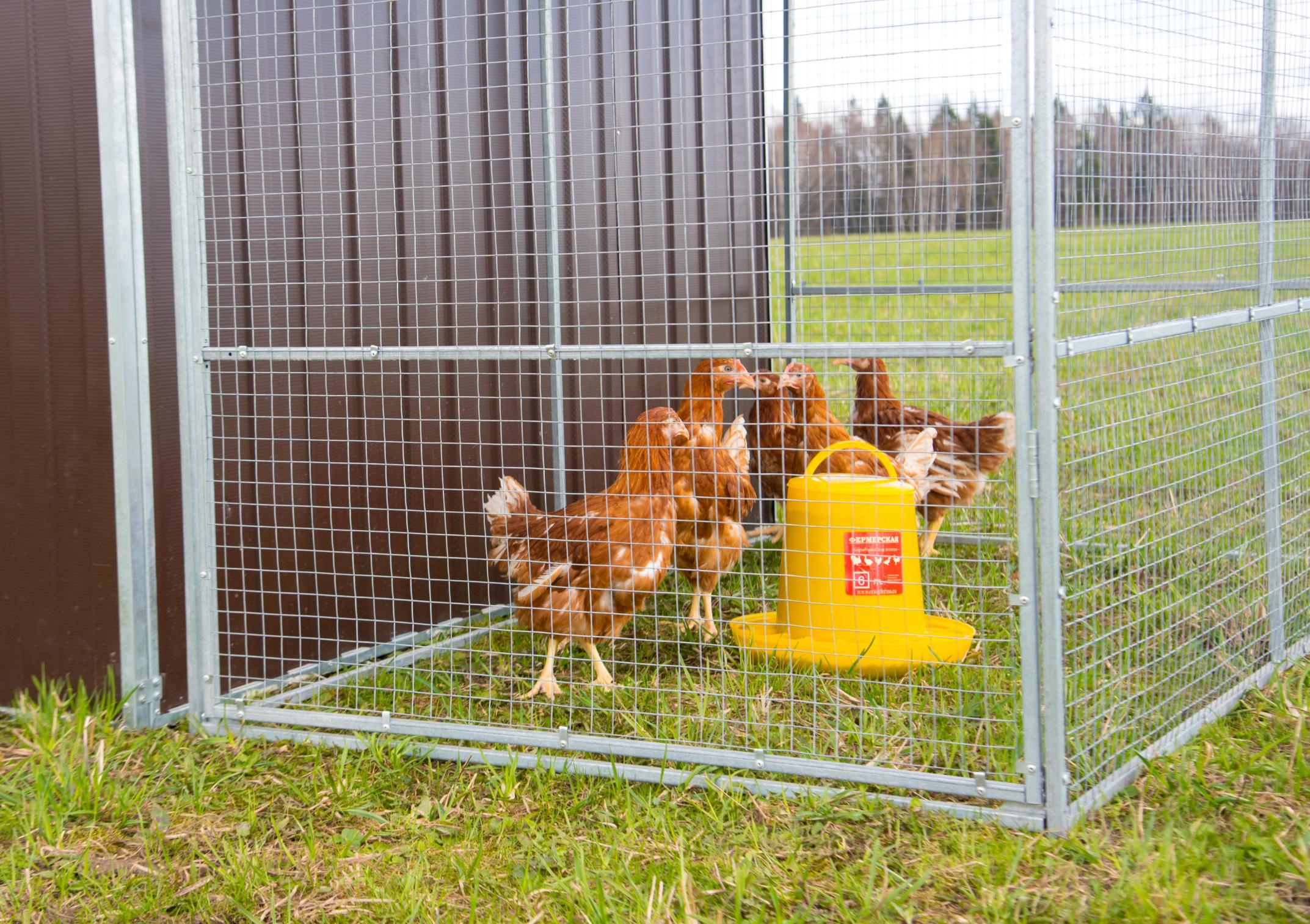 Выгул "Разгуляй" из сетки 1-2-С. Фото 6