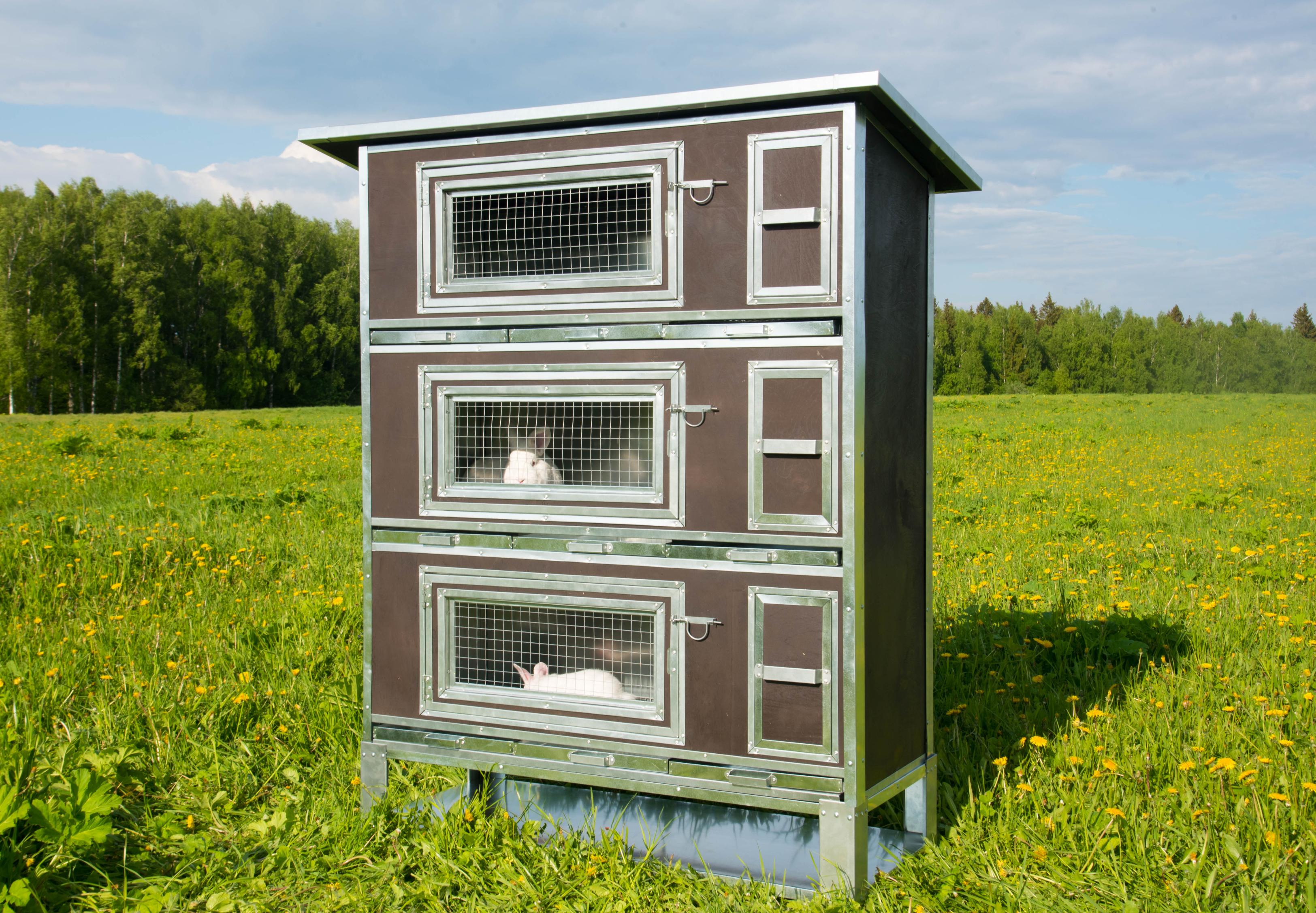 Утепленный отапливаемый крольчатник "Бестселлер" О-13. Фото 3