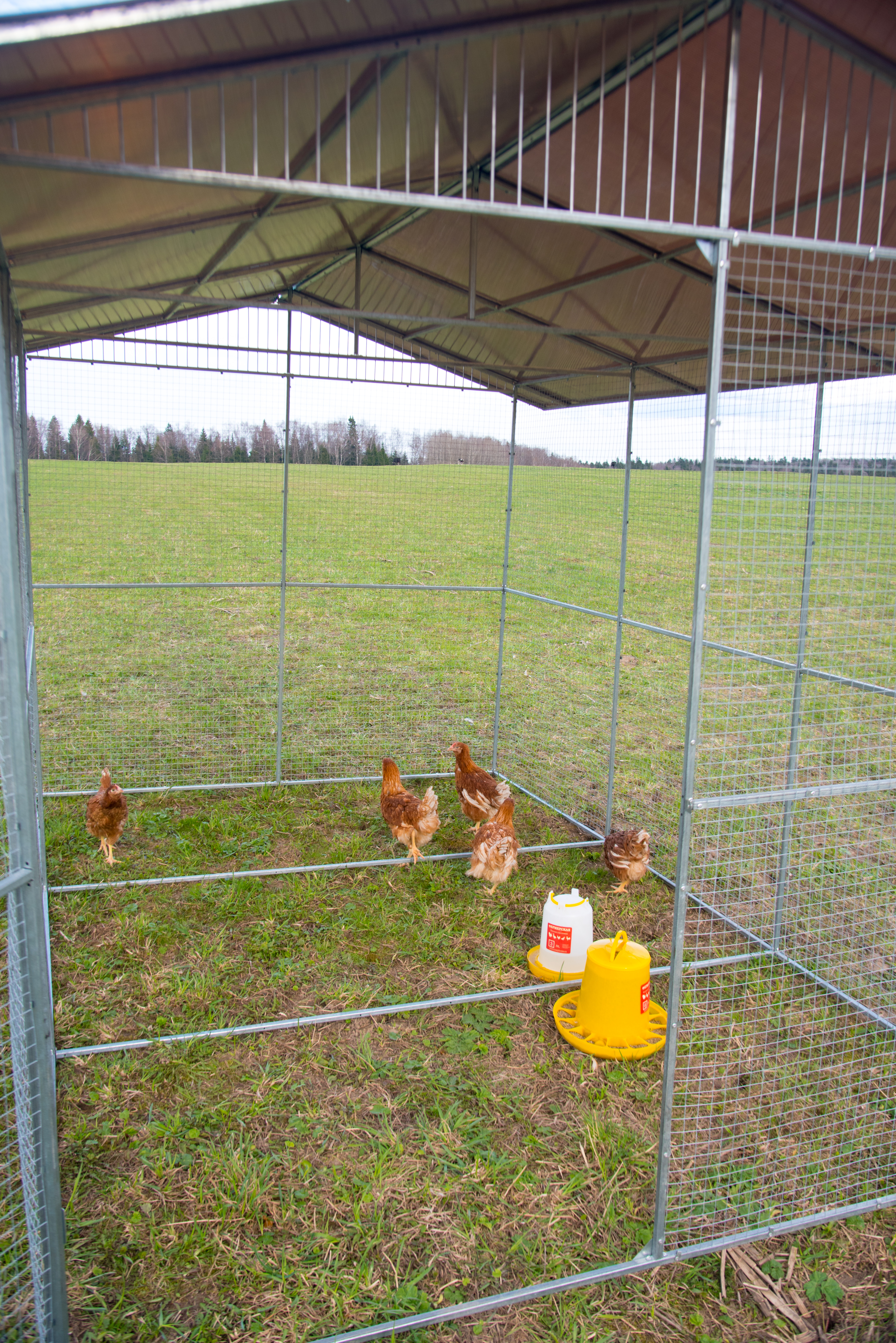 Выгул "Разгуляй" с крышей 2-2-К. Фото 3