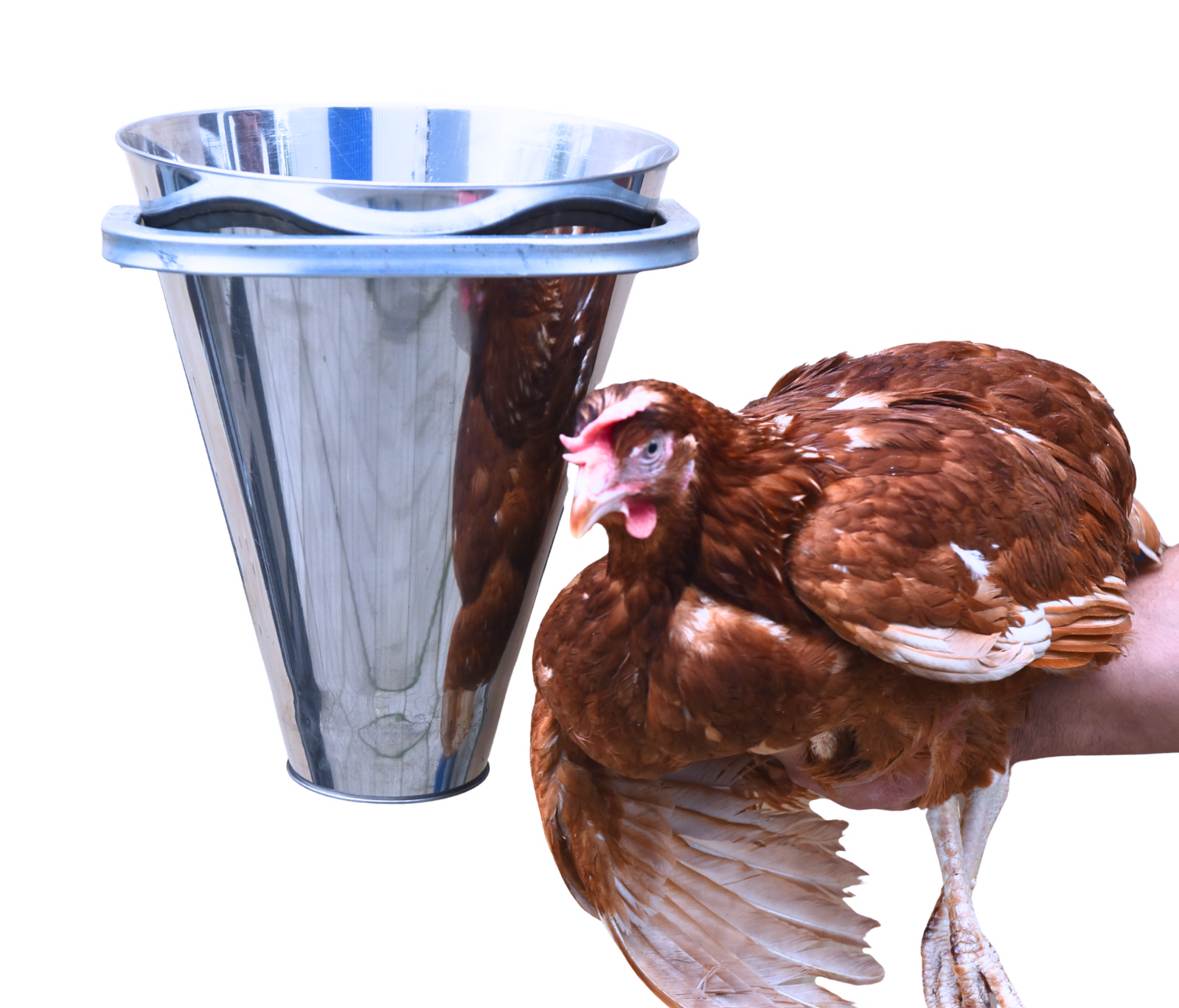 Конус для убоя  "М" с кронштейном крепления - (D-85/230; Н-280). Фото 18