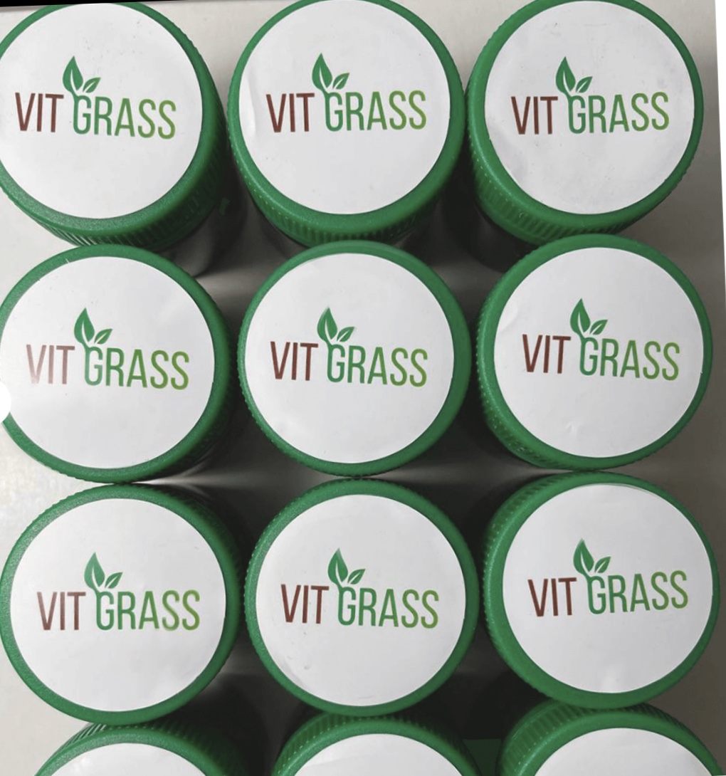 Сок из ростков пшеницы  замороженный Vit Grass. Фото 1