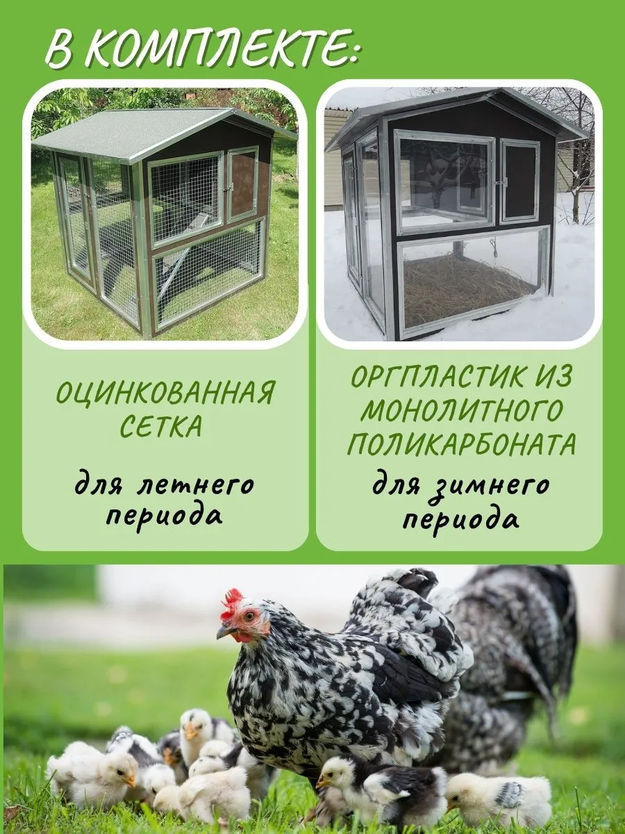 Утепленный отапливаемый уличный курятник с выгулом и гнездом "Зимняя Мечта" на 8-10 кур. Фото 8