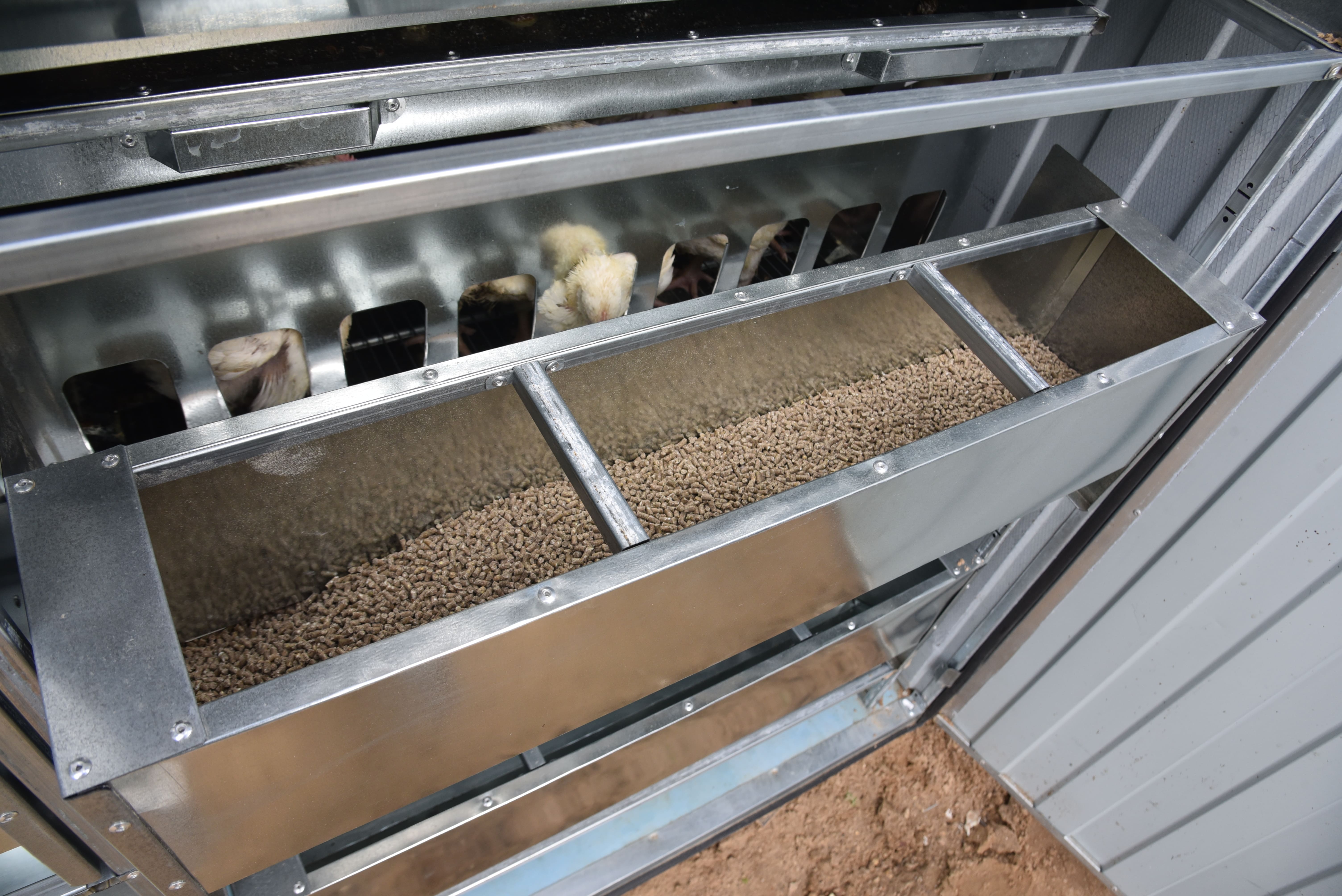 Автоматический уличный брудер "Идеальный папа". Фото 17