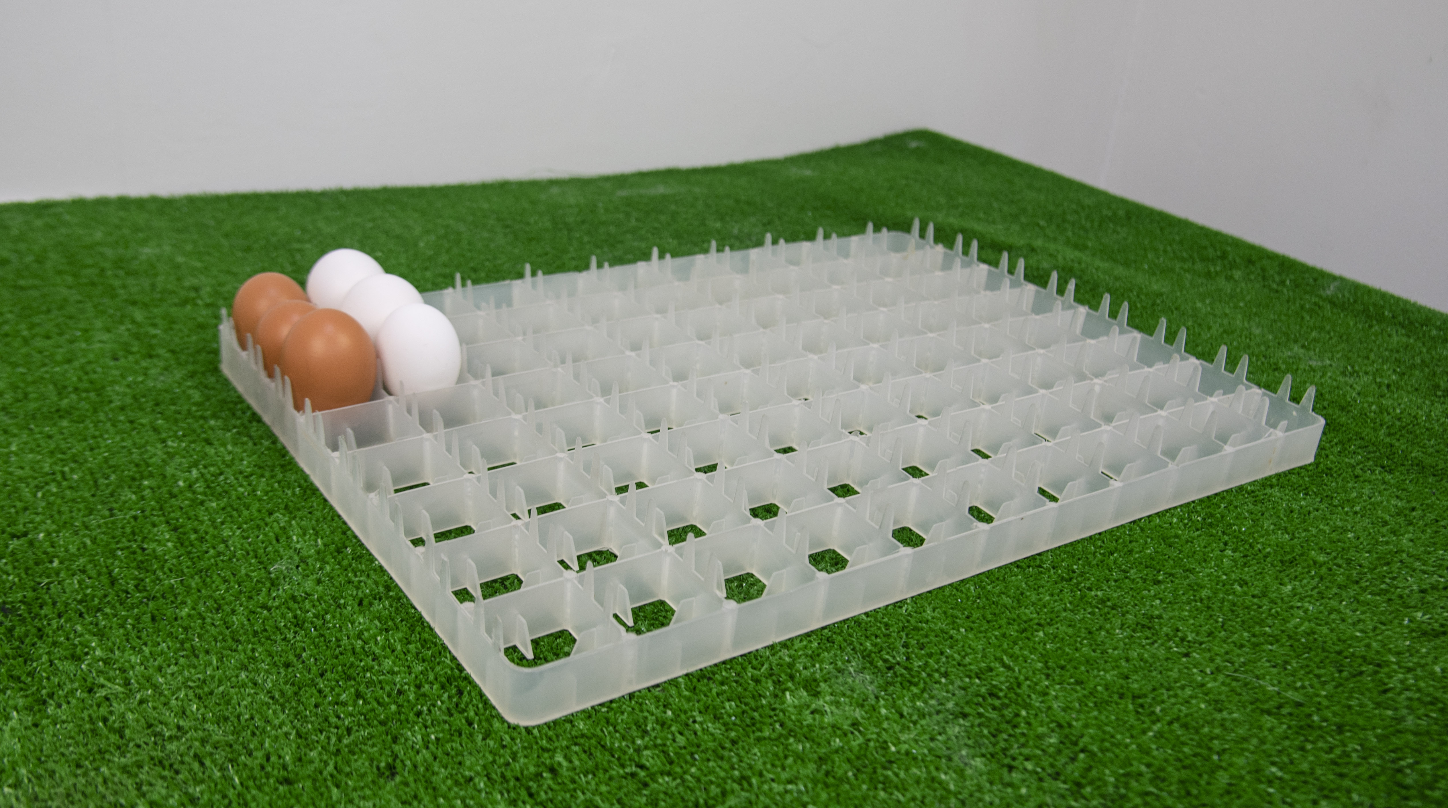 Сотовый лоток для куриных яиц. Фото 3