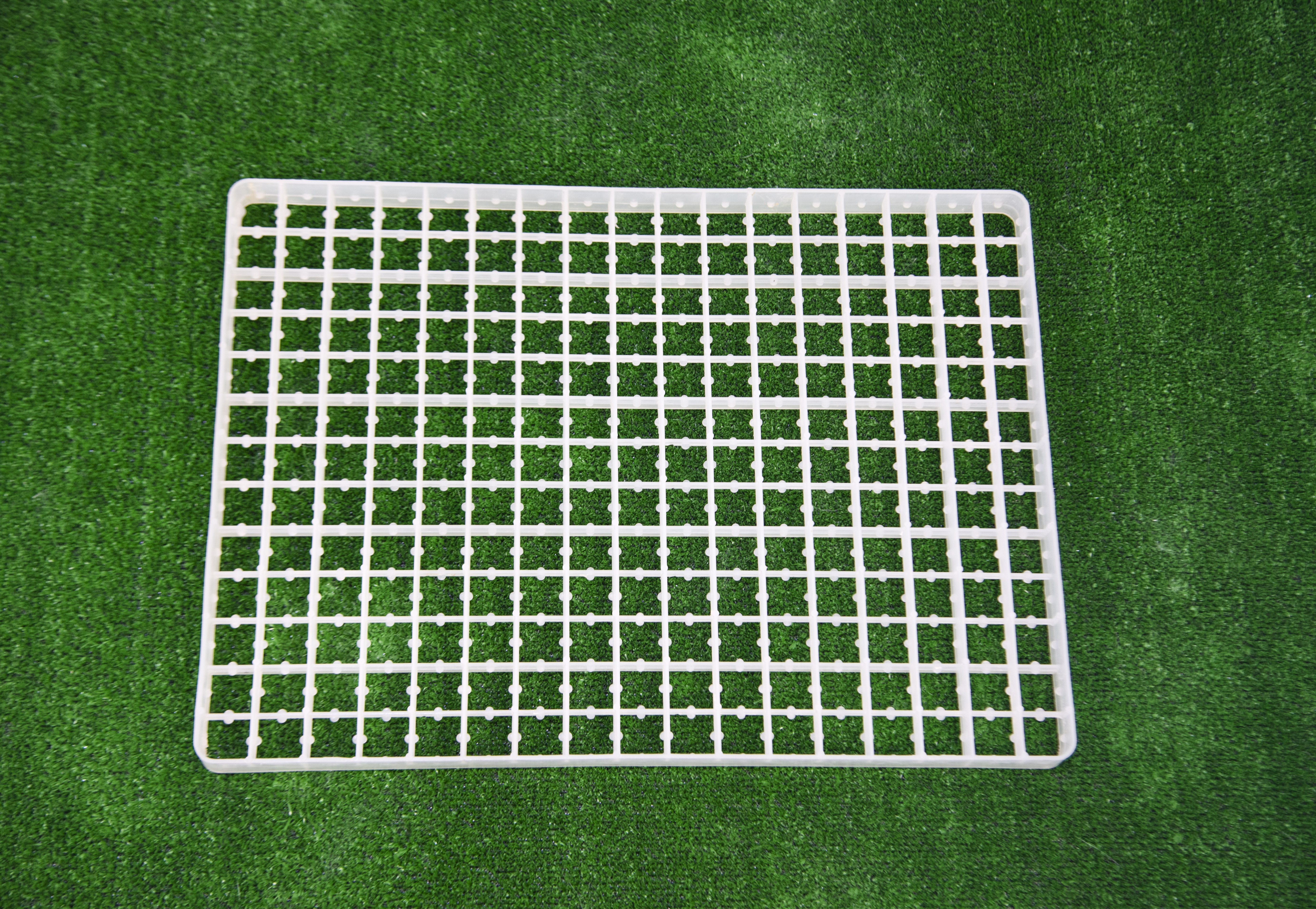 Сотовый лоток для перепелиных яиц. Фото 3