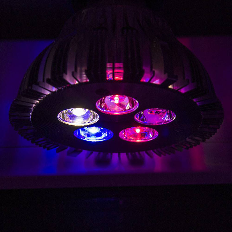 Фитолампа 15W Фулл спектр. Фото 3