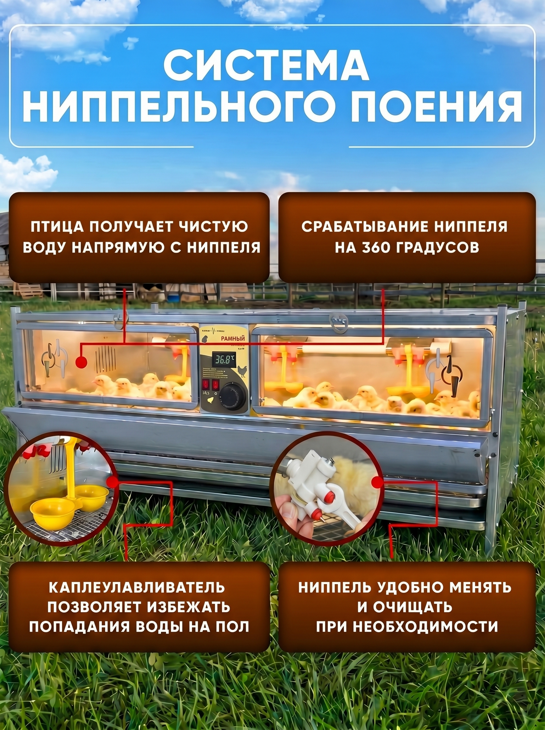 Рамный цифровой брудер 0709 Стандарт. Фото 7 Рамный цифровой брудер 0709 Стандарт. Фото 7