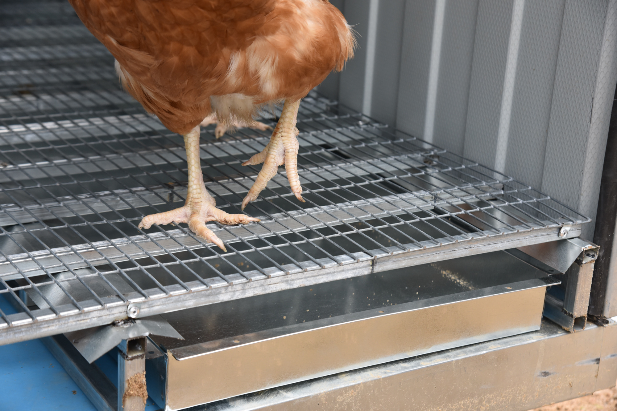  Настил металлический усиленный для птичника. Фото 10