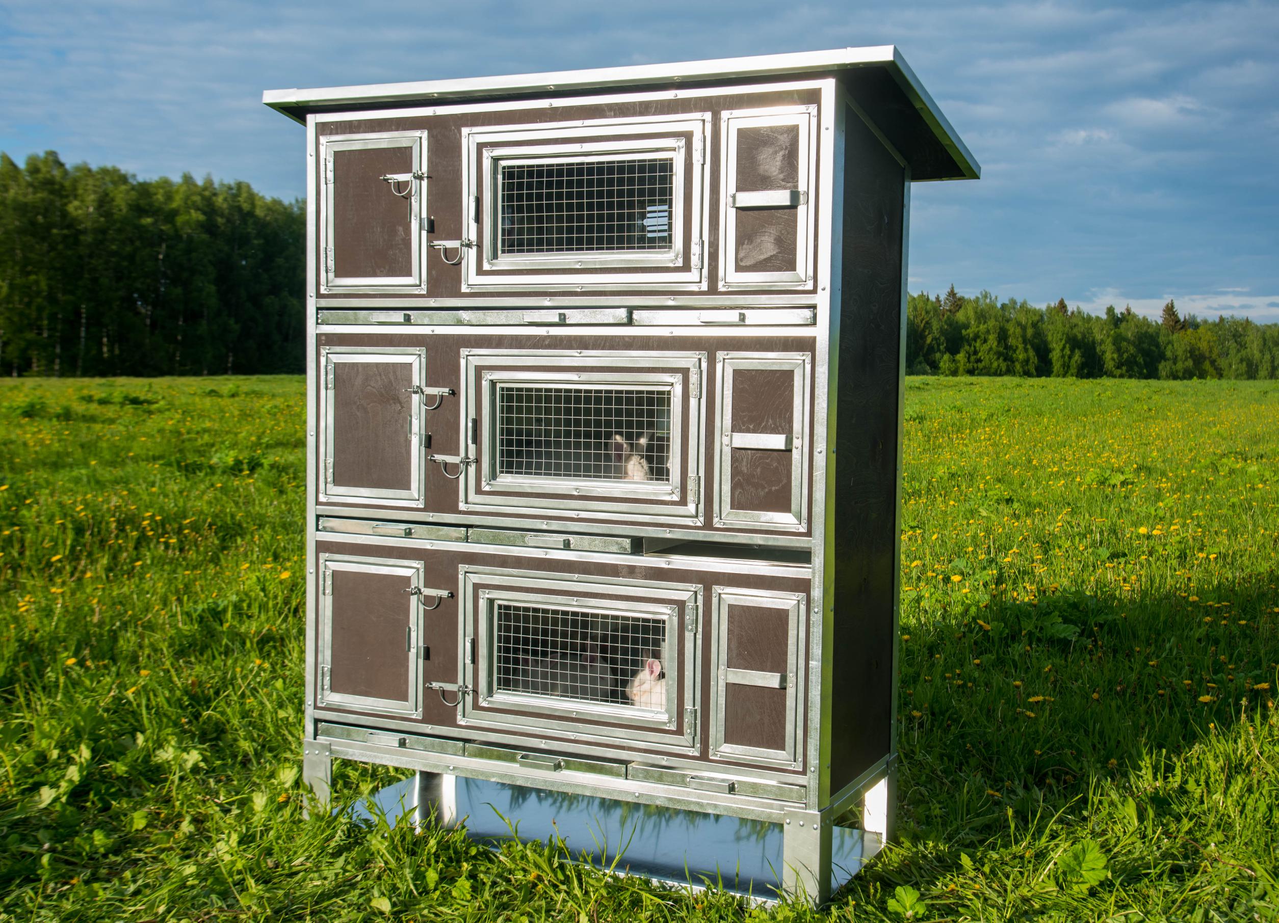 Утепленный отапливаемый крольчатник "Бестселлер" М-13. Фото 10